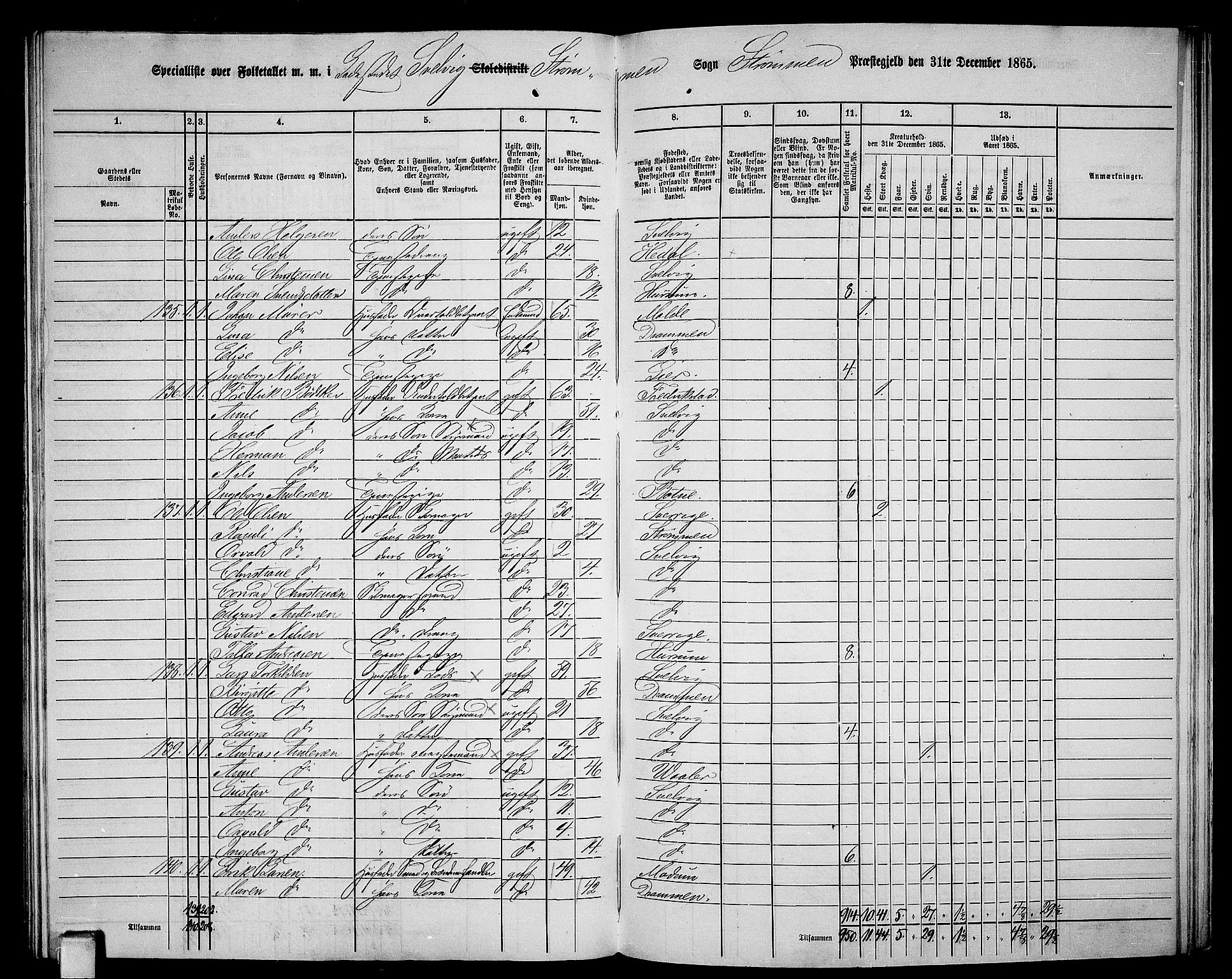 RA, 1865 census for Strømm, 1865, p. 93