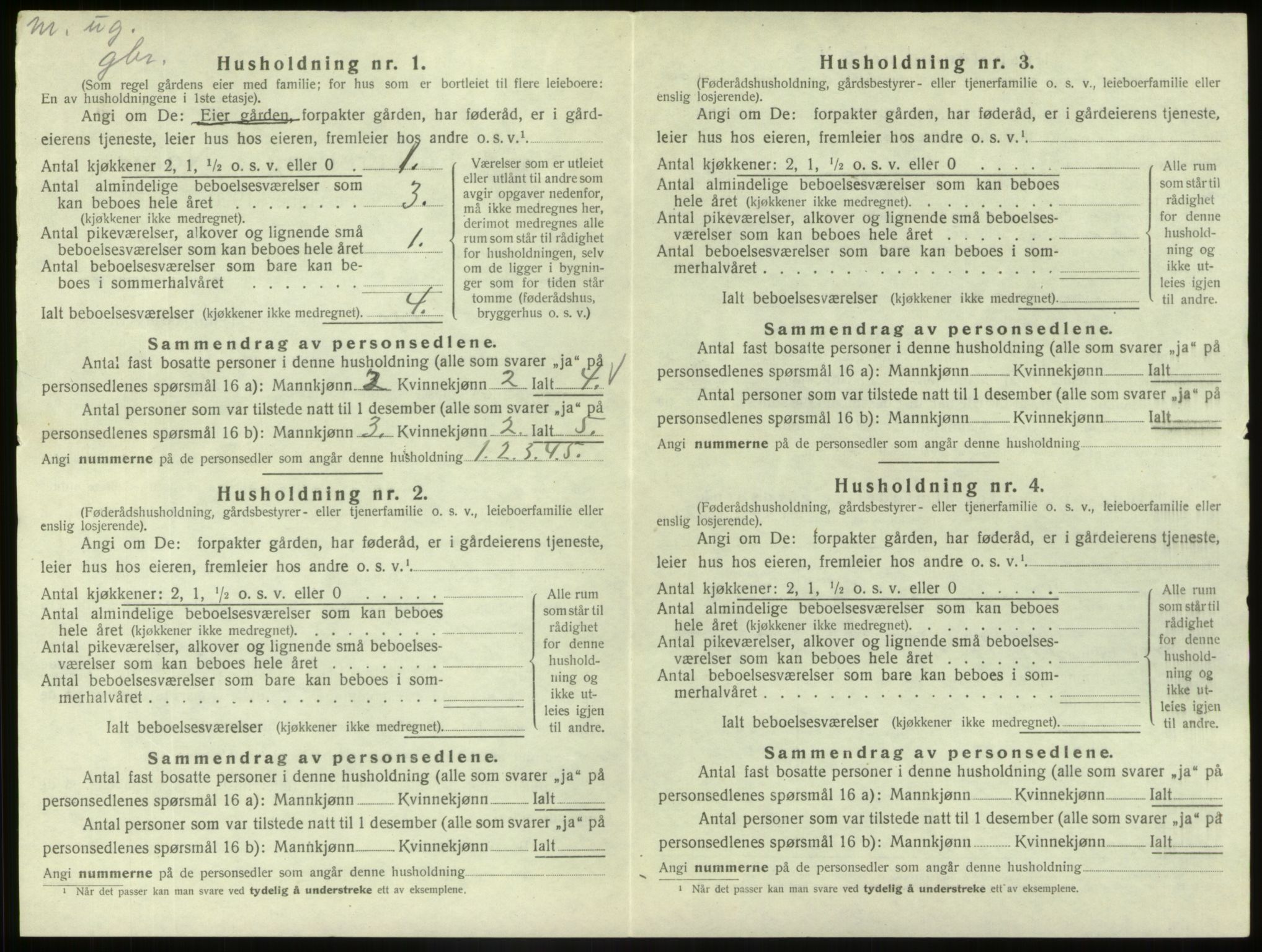 SAB, 1920 census for Hafslo, 1920, p. 297