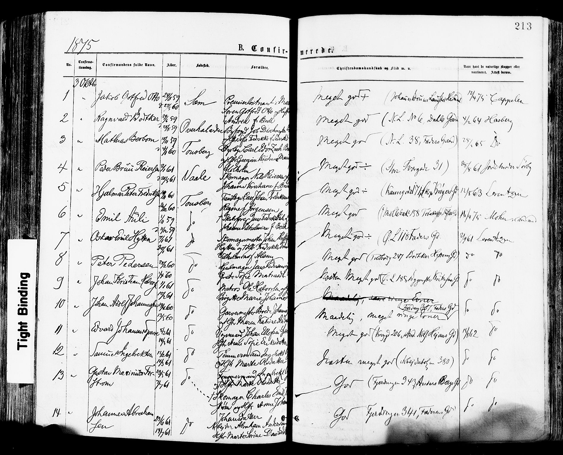 Tønsberg kirkebøker, AV/SAKO-A-330/F/Fa/L0010: Parish register (official) no. I 10, 1874-1880, p. 213