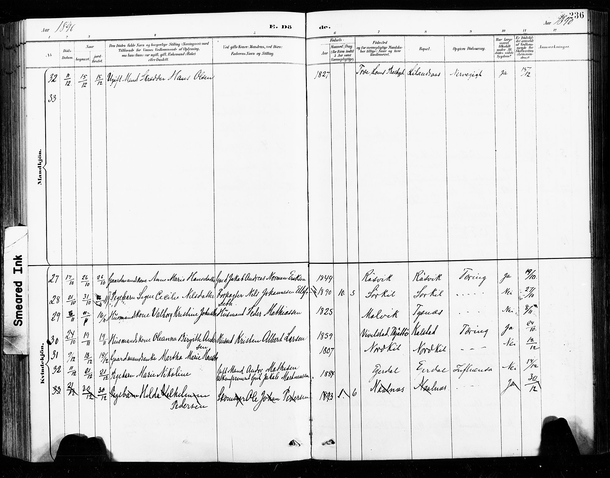 Ministerialprotokoller, klokkerbøker og fødselsregistre - Nordland, AV/SAT-A-1459/859/L0847: Parish register (official) no. 859A07, 1890-1899, p. 236