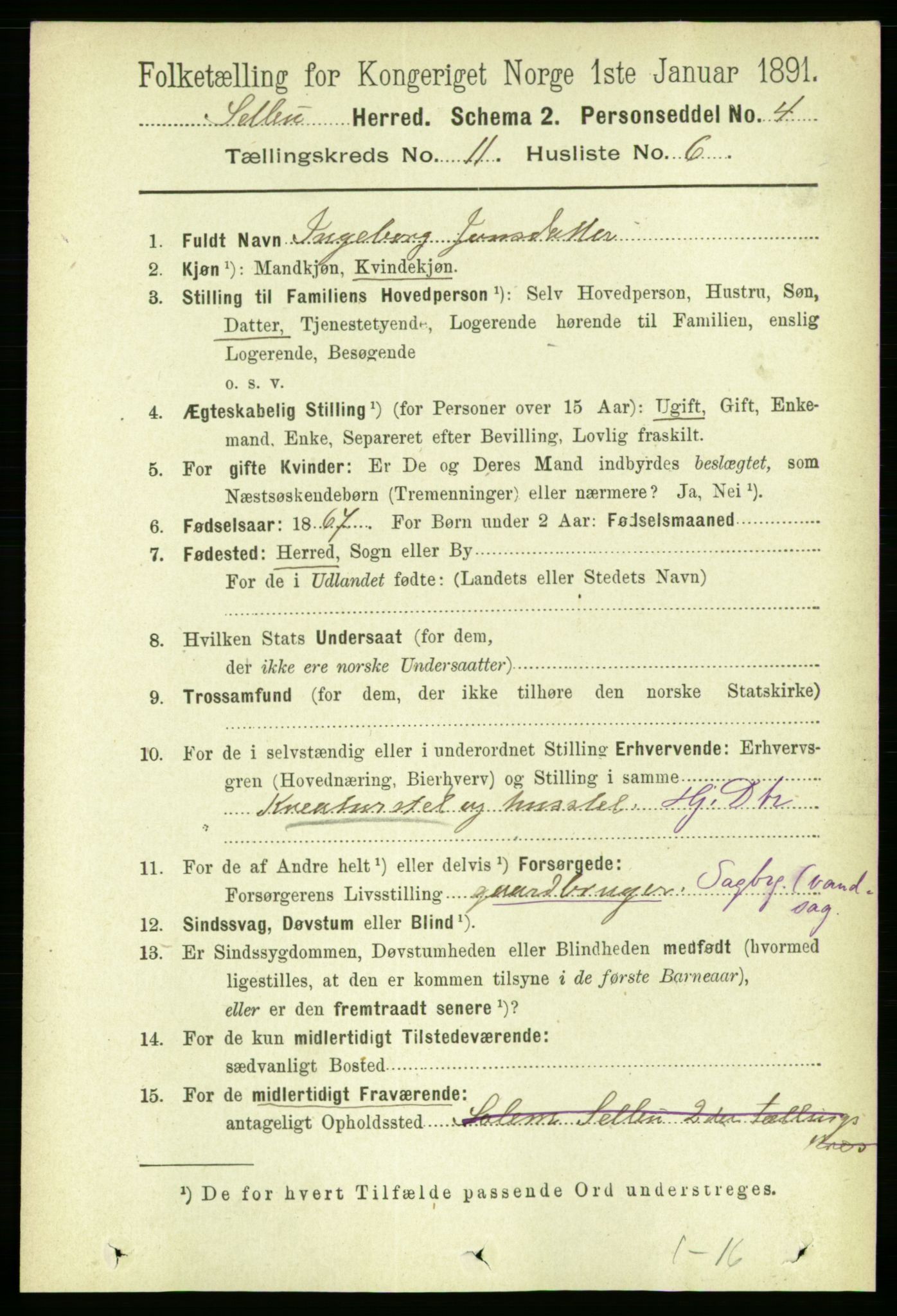 RA, 1891 census for 1664 Selbu, 1891, p. 4022