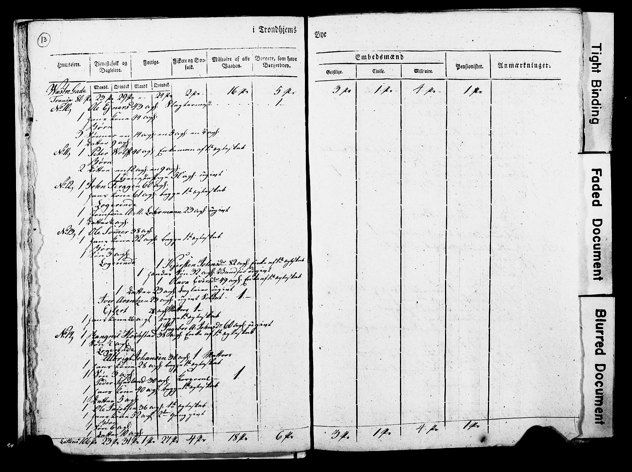 RA, Census 1815 for Trondheim, 1815, p. 12