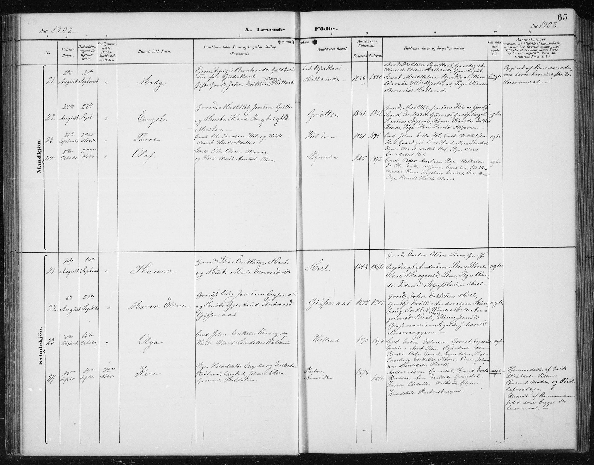 Ministerialprotokoller, klokkerbøker og fødselsregistre - Sør-Trøndelag, AV/SAT-A-1456/674/L0876: Parish register (copy) no. 674C03, 1892-1912, p. 65