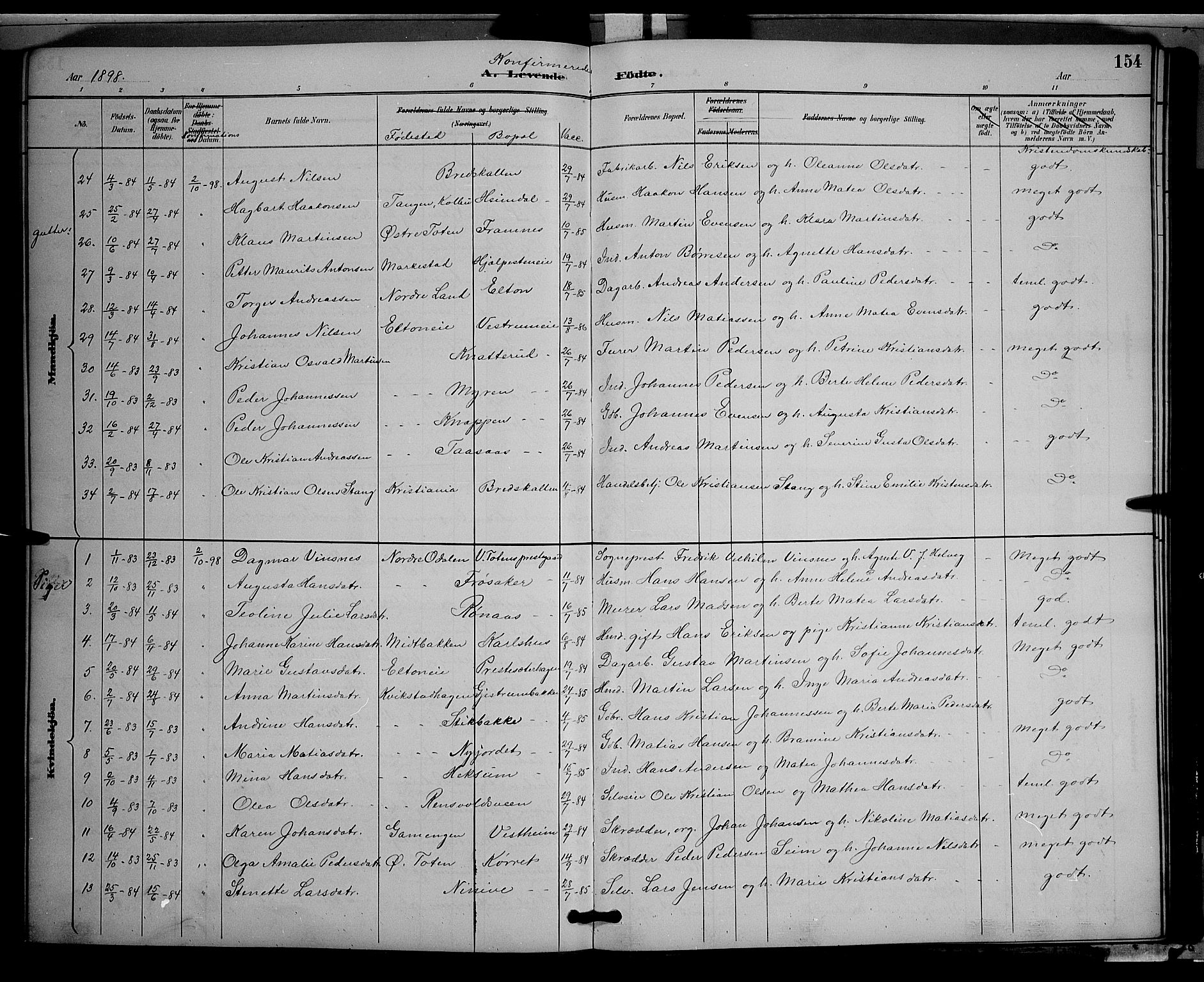 Vestre Toten prestekontor, AV/SAH-PREST-108/H/Ha/Hab/L0009: Parish register (copy) no. 9, 1888-1900, p. 154