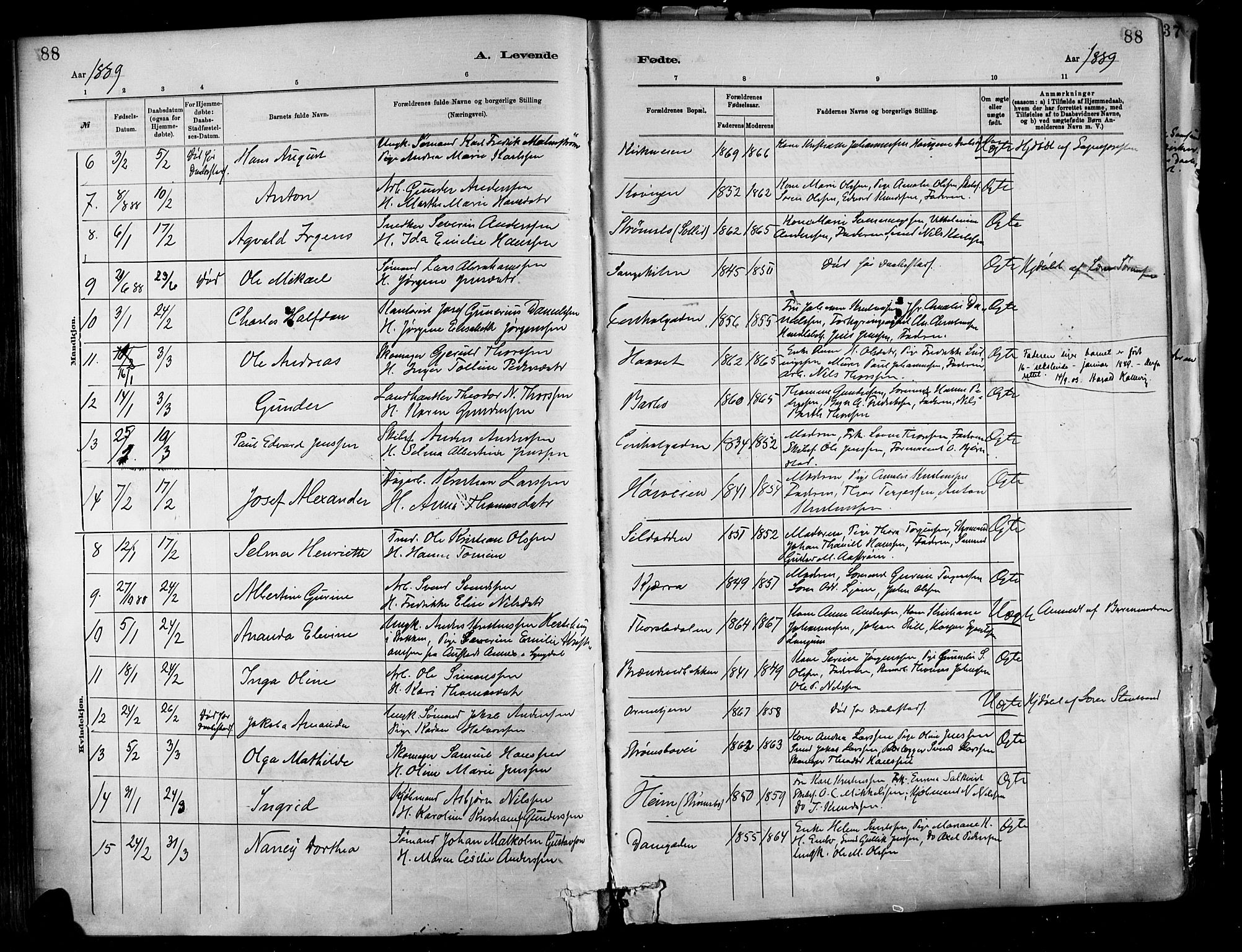 Barbu sokneprestkontor, AV/SAK-1111-0003/F/Fa/L0002: Parish register (official) no. A 2, 1883-1898, p. 88