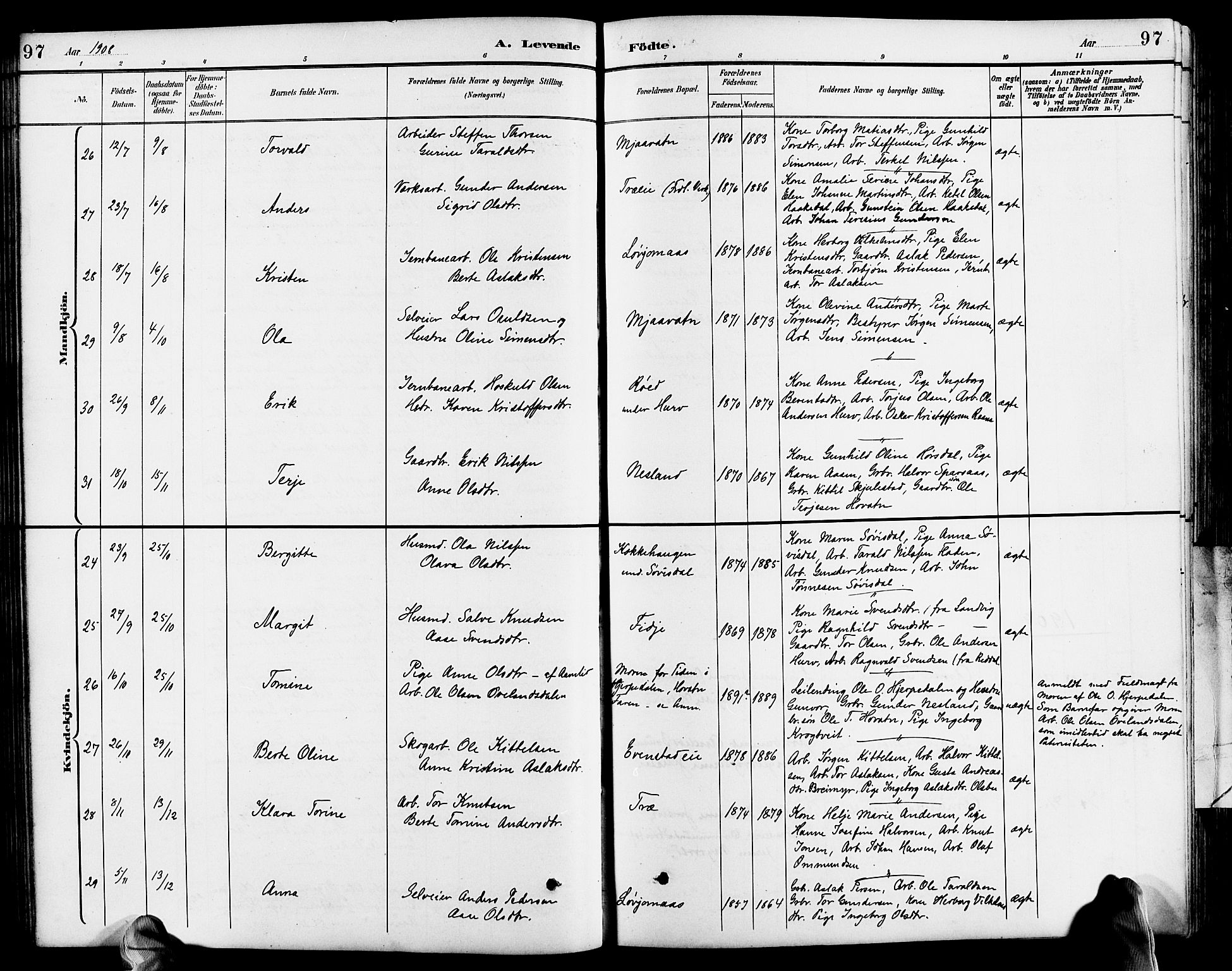 Froland sokneprestkontor, SAK/1111-0013/F/Fb/L0010: Parish register (copy) no. B 10, 1893-1920, p. 97