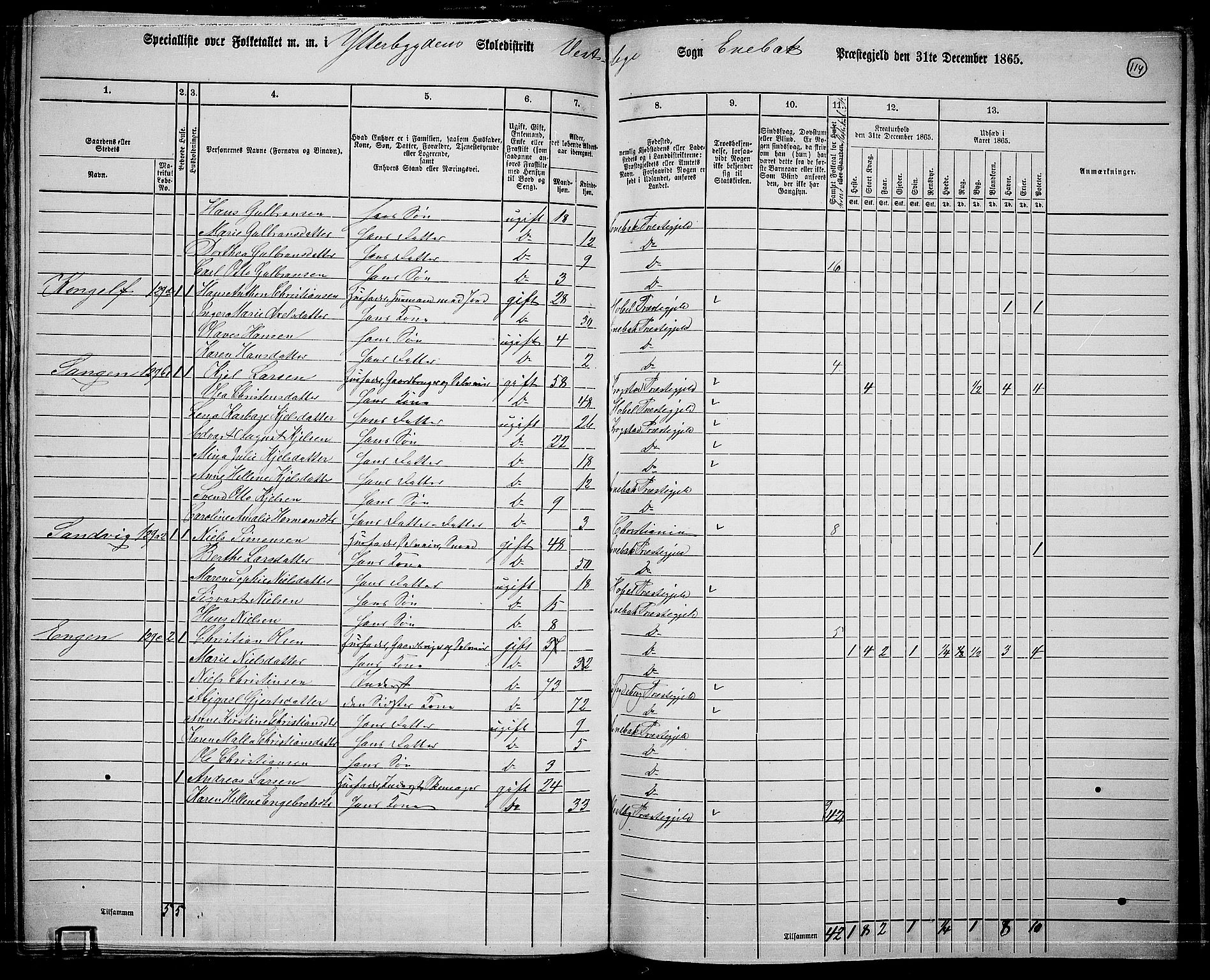 RA, 1865 census for Enebakk, 1865, p. 100