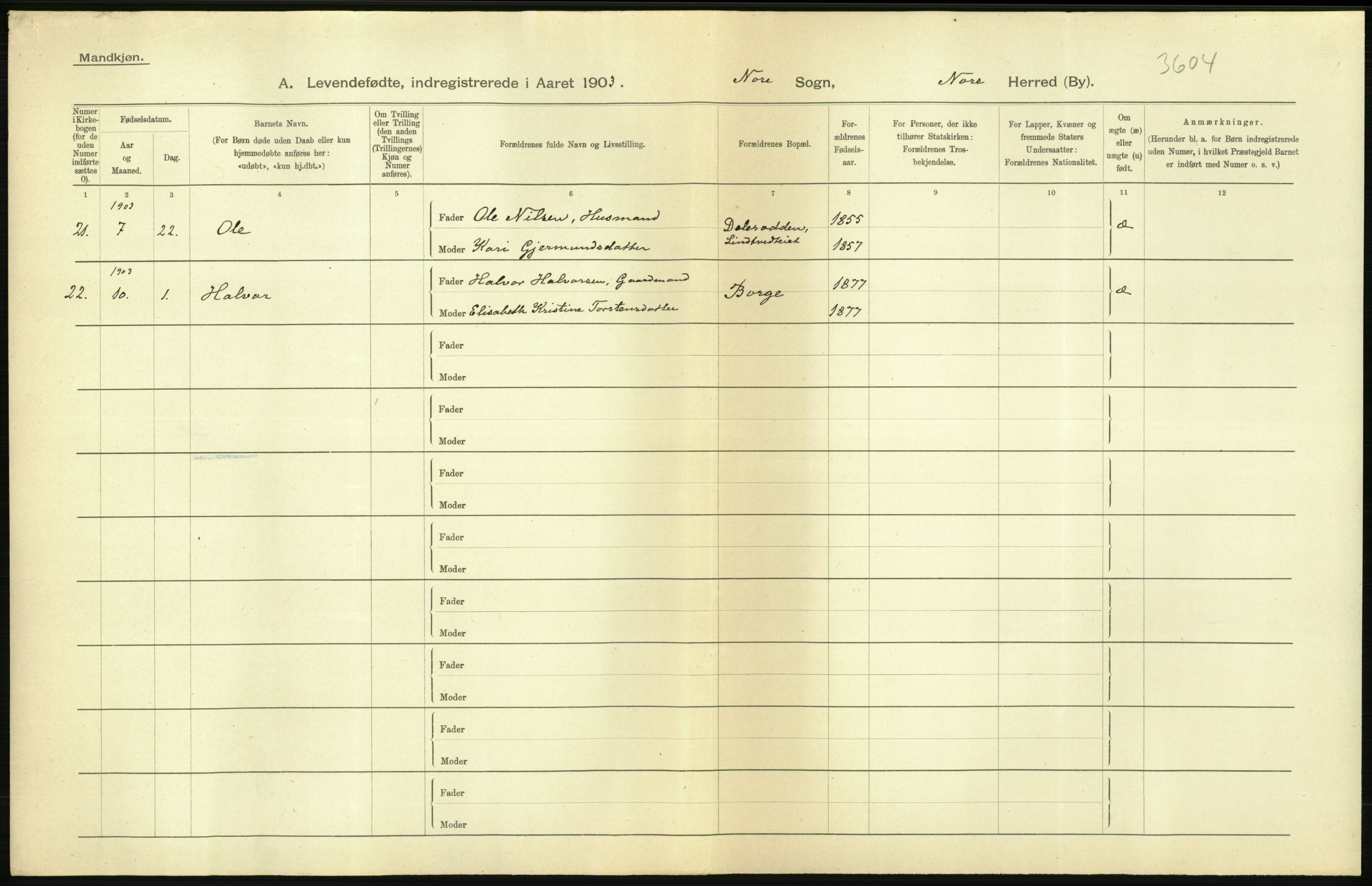 Statistisk sentralbyrå, Sosiodemografiske emner, Befolkning, AV/RA-S-2228/D/Df/Dfa/Dfaa/L0007: Buskeruds amt: Fødte, gifte, døde, 1903, p. 12