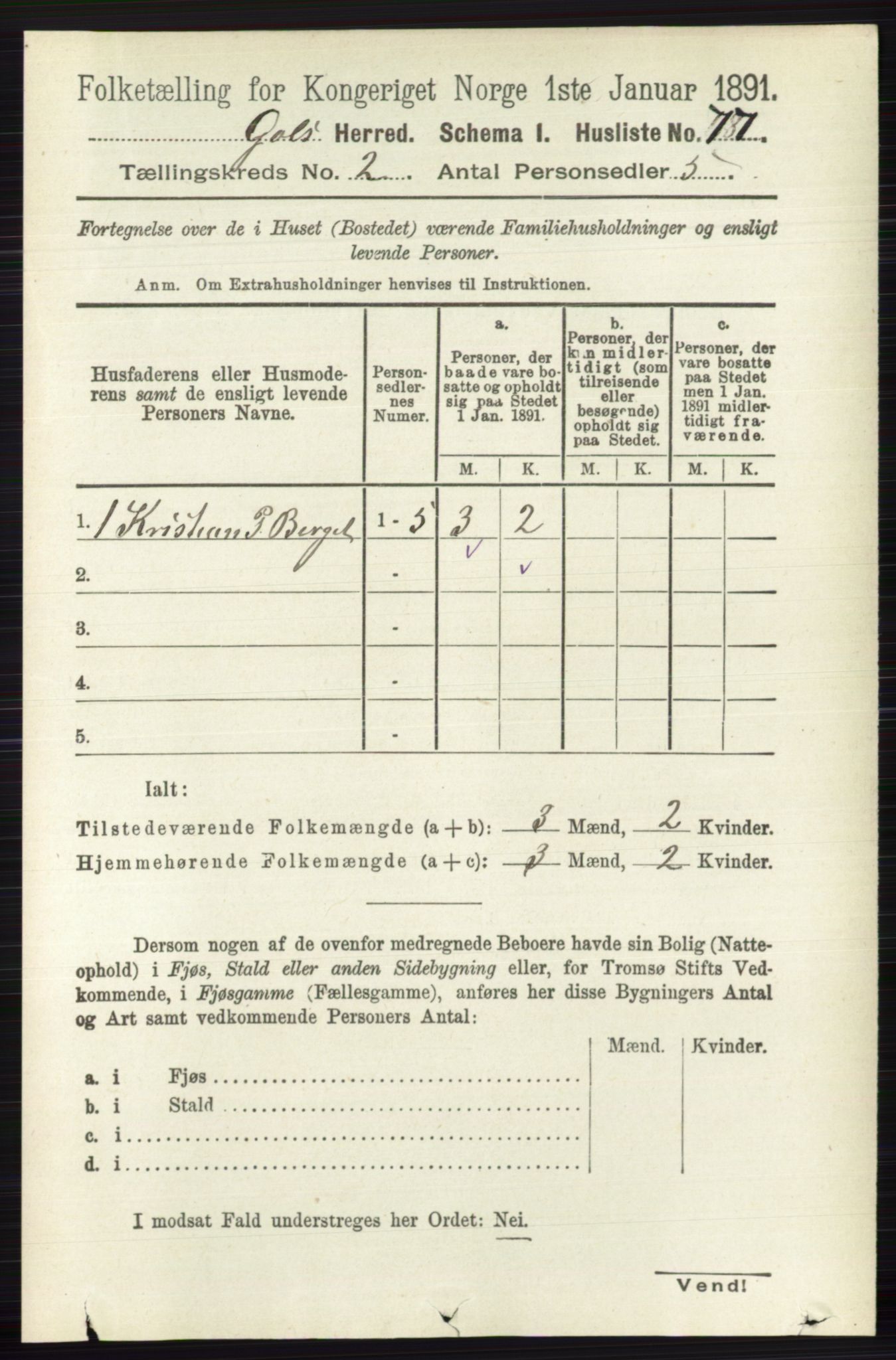 RA, 1891 census for 0617 Gol og Hemsedal, 1891, p. 702