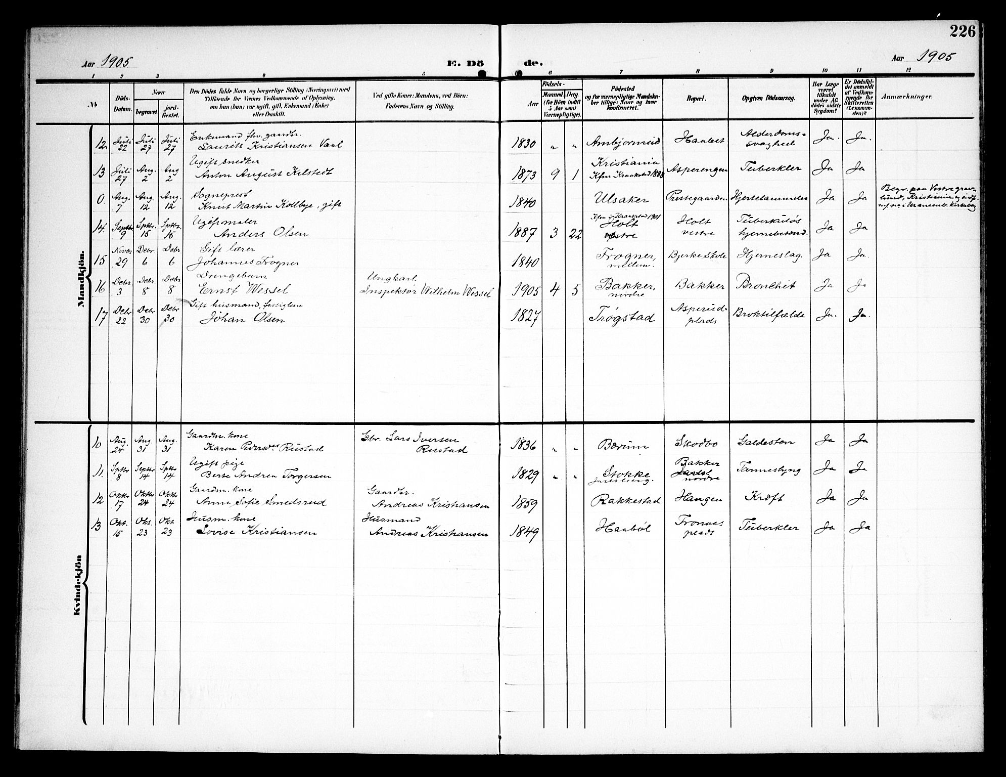 Kråkstad prestekontor Kirkebøker, AV/SAO-A-10125a/G/Ga/L0002: Parish register (copy) no. I 2, 1905-1934, p. 226