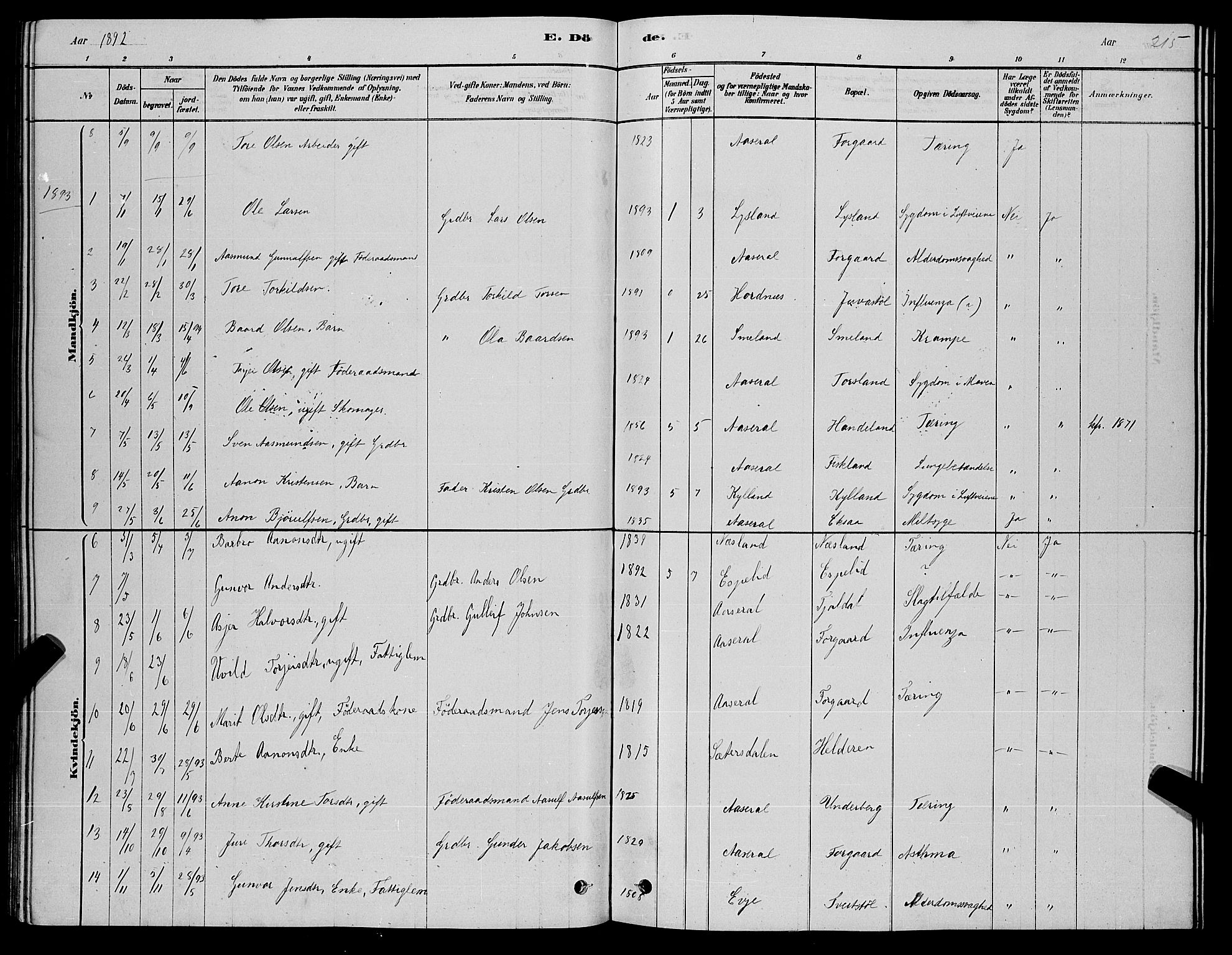 Åseral sokneprestkontor, AV/SAK-1111-0051/F/Fb/L0002: Parish register (copy) no. B 2, 1878-1899, p. 215