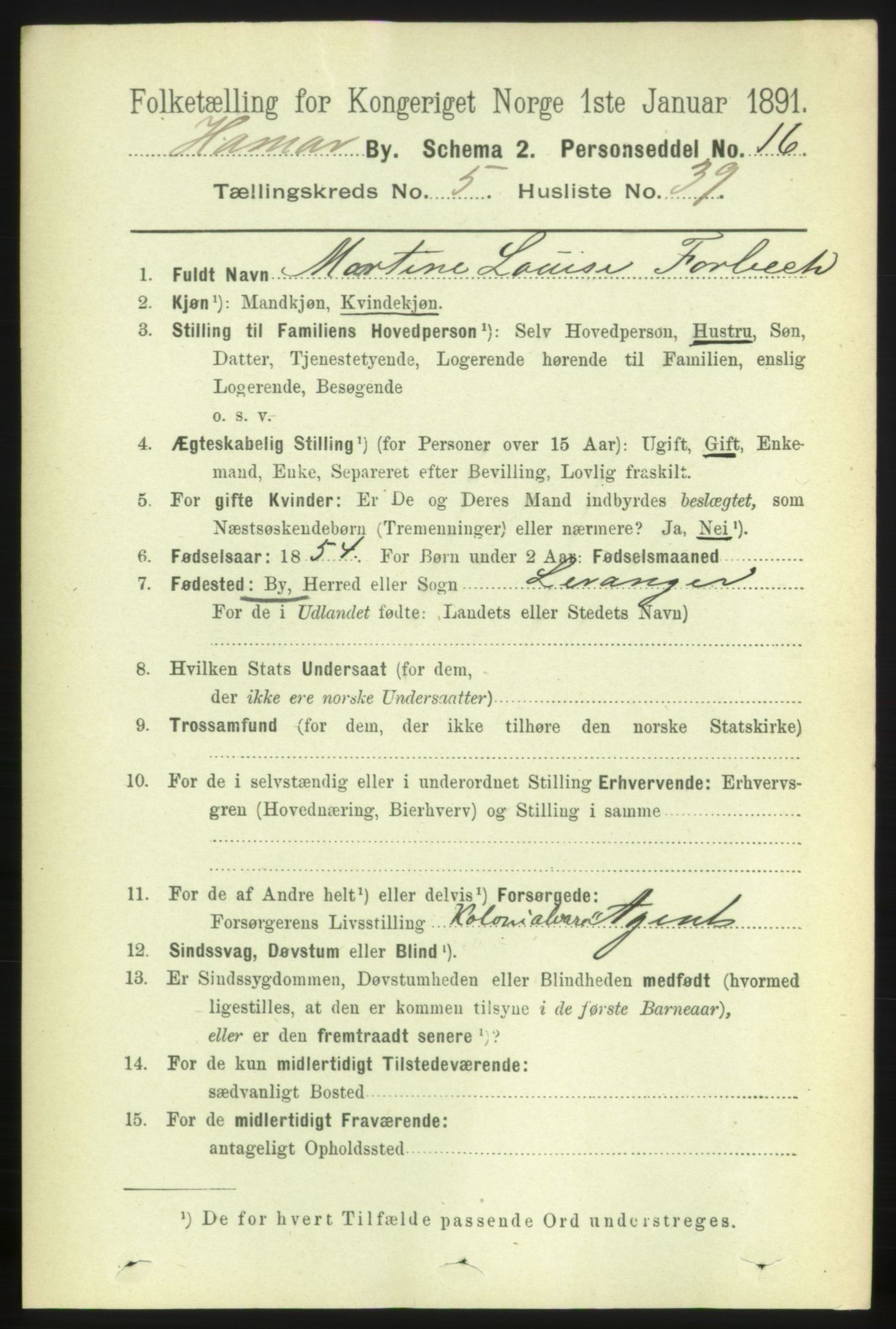 RA, 1891 census for 0401 Hamar, 1891, p. 4319