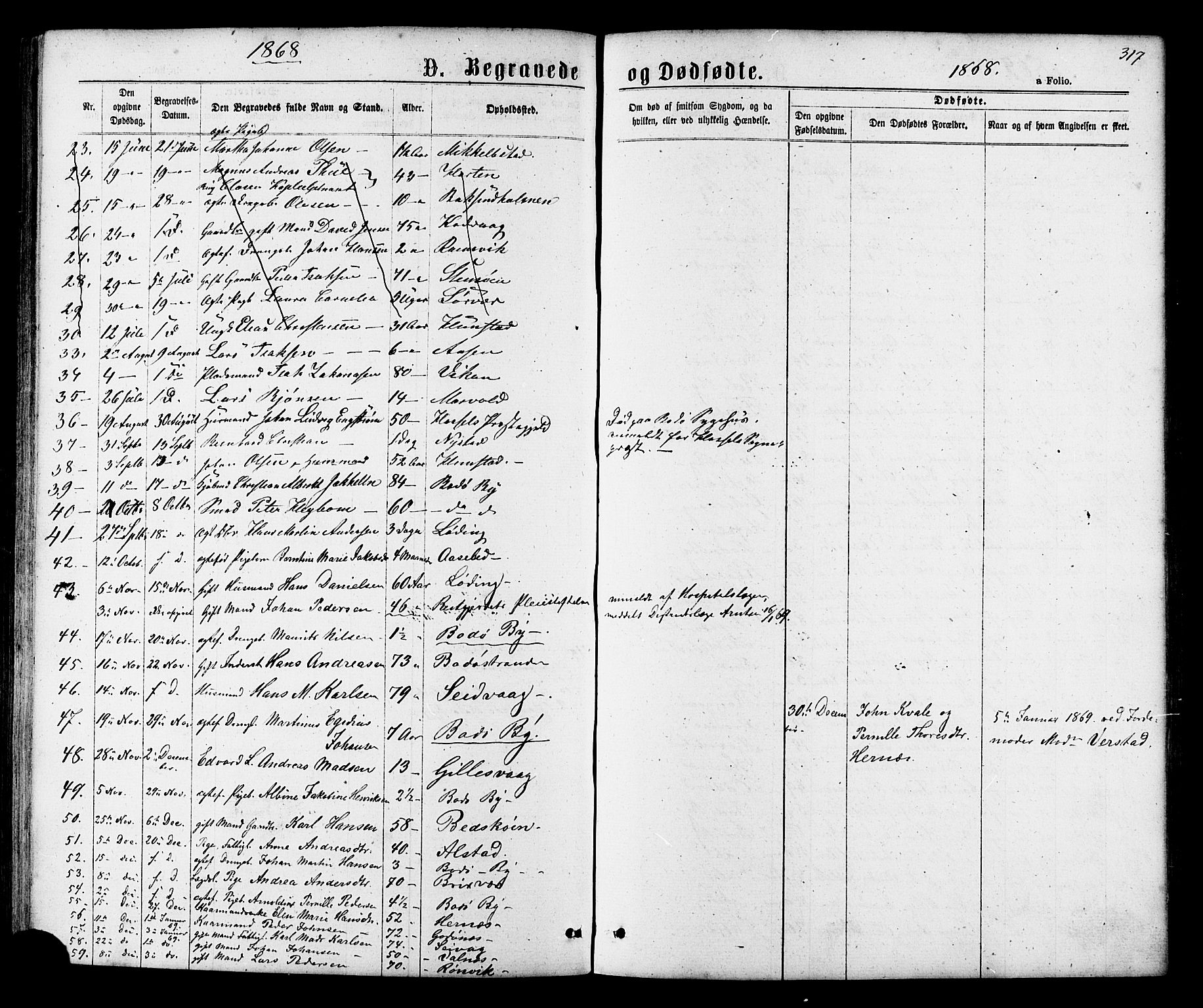 Ministerialprotokoller, klokkerbøker og fødselsregistre - Nordland, AV/SAT-A-1459/801/L0029: Parish register (copy) no. 801C04, 1868-1878, p. 317