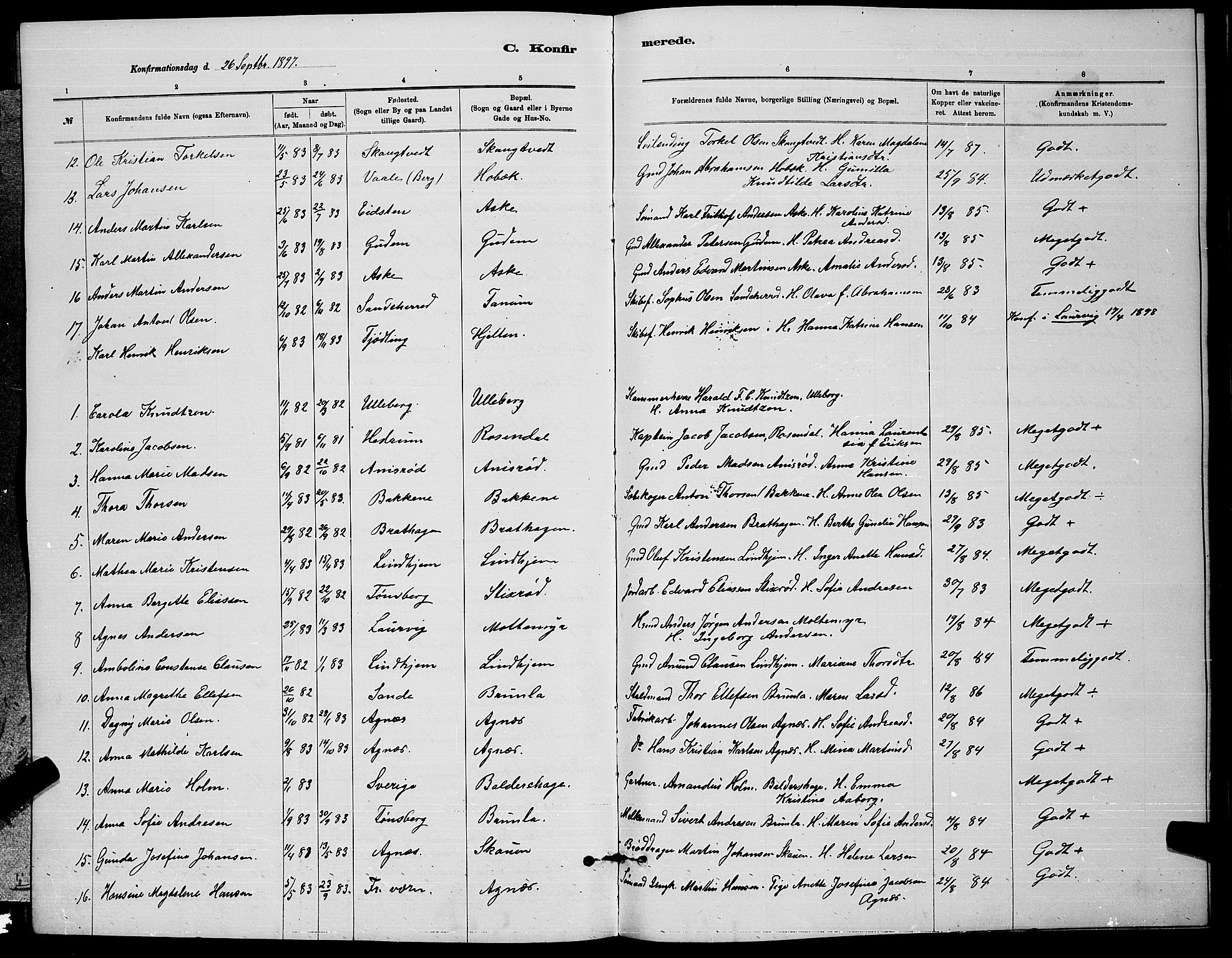 Brunlanes kirkebøker, AV/SAKO-A-342/G/Ga/L0003: Parish register (copy) no. I 3, 1877-1898