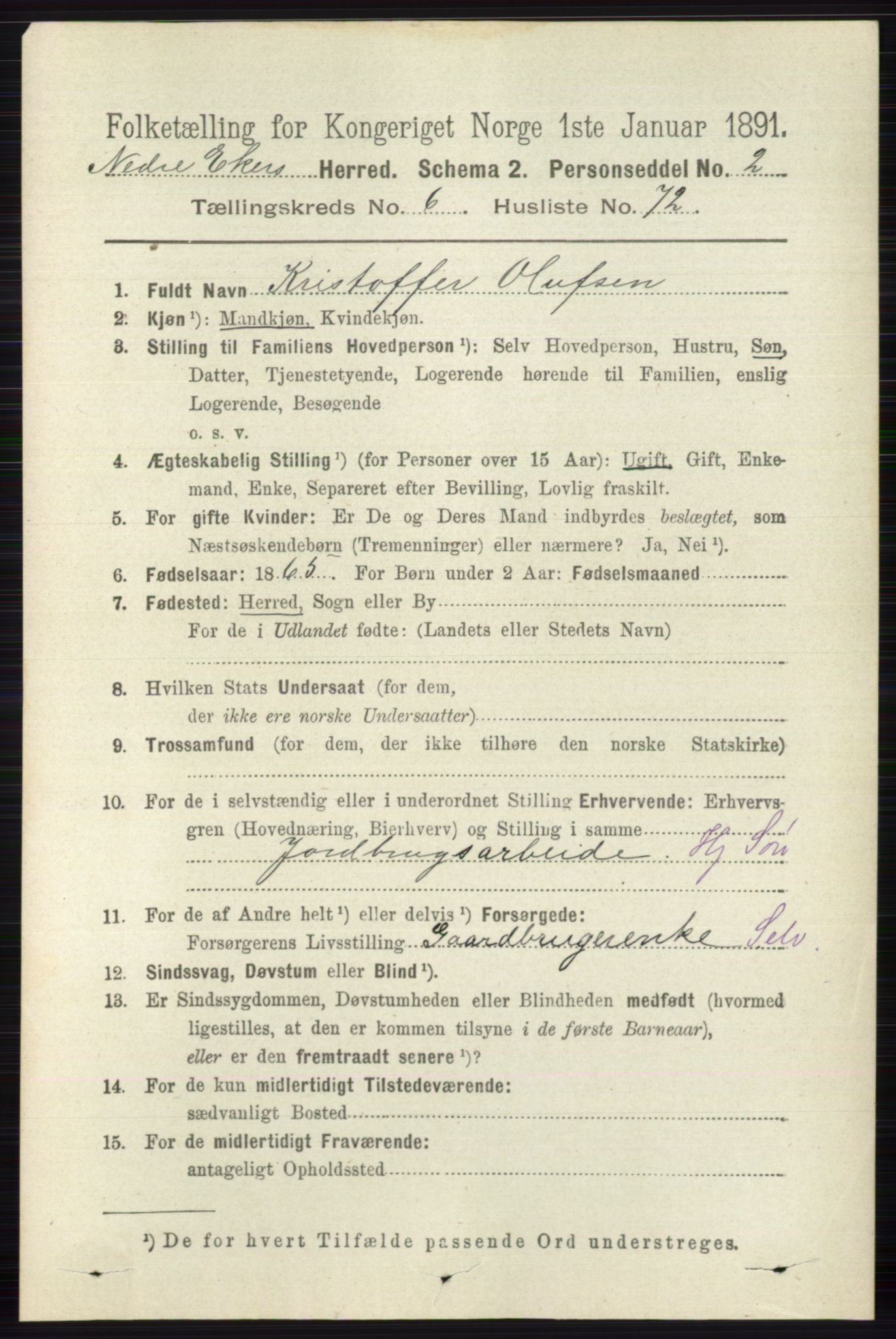 RA, 1891 census for 0625 Nedre Eiker, 1891, p. 3261