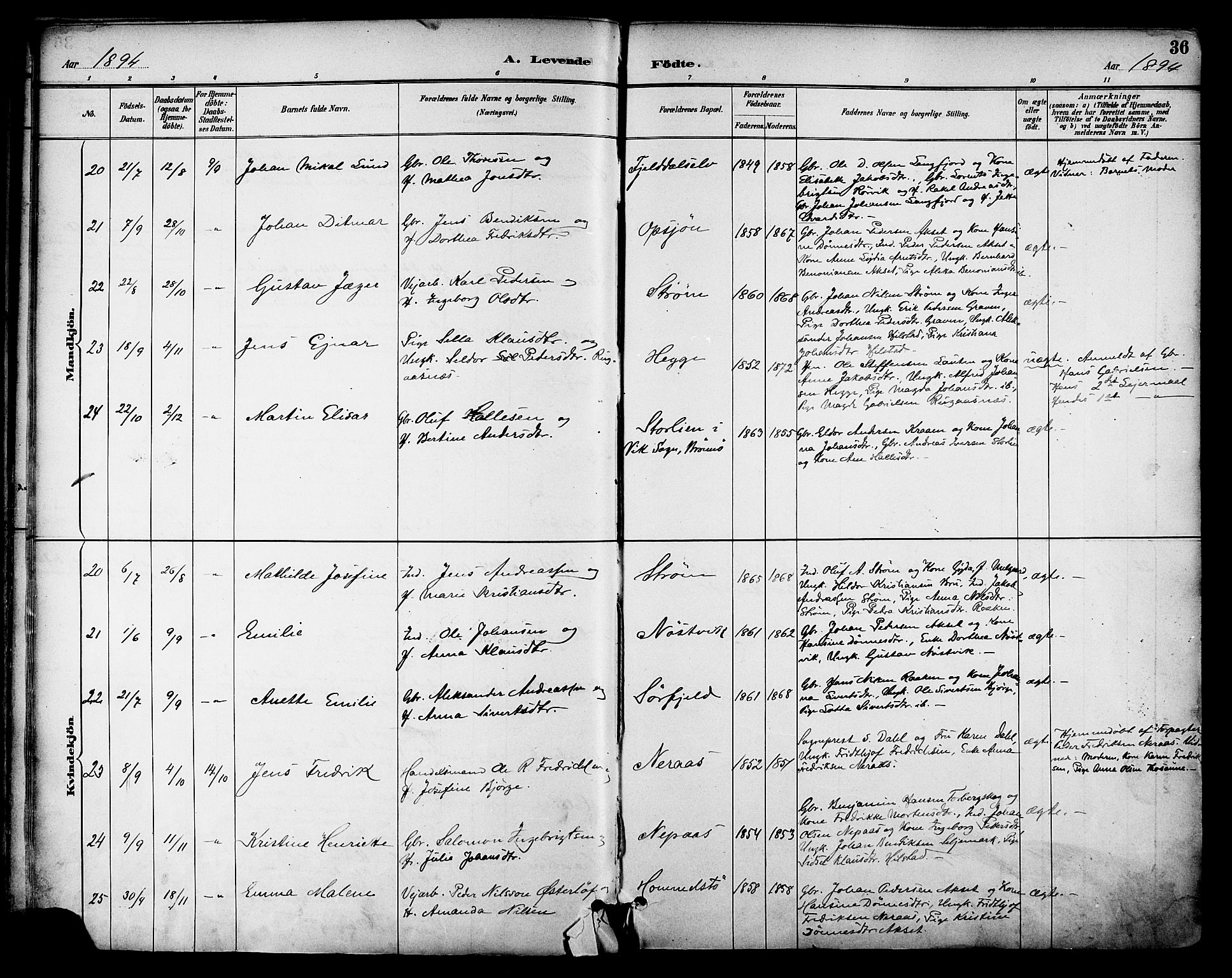 Ministerialprotokoller, klokkerbøker og fødselsregistre - Nordland, SAT/A-1459/814/L0226: Parish register (official) no. 814A07, 1886-1898, p. 36