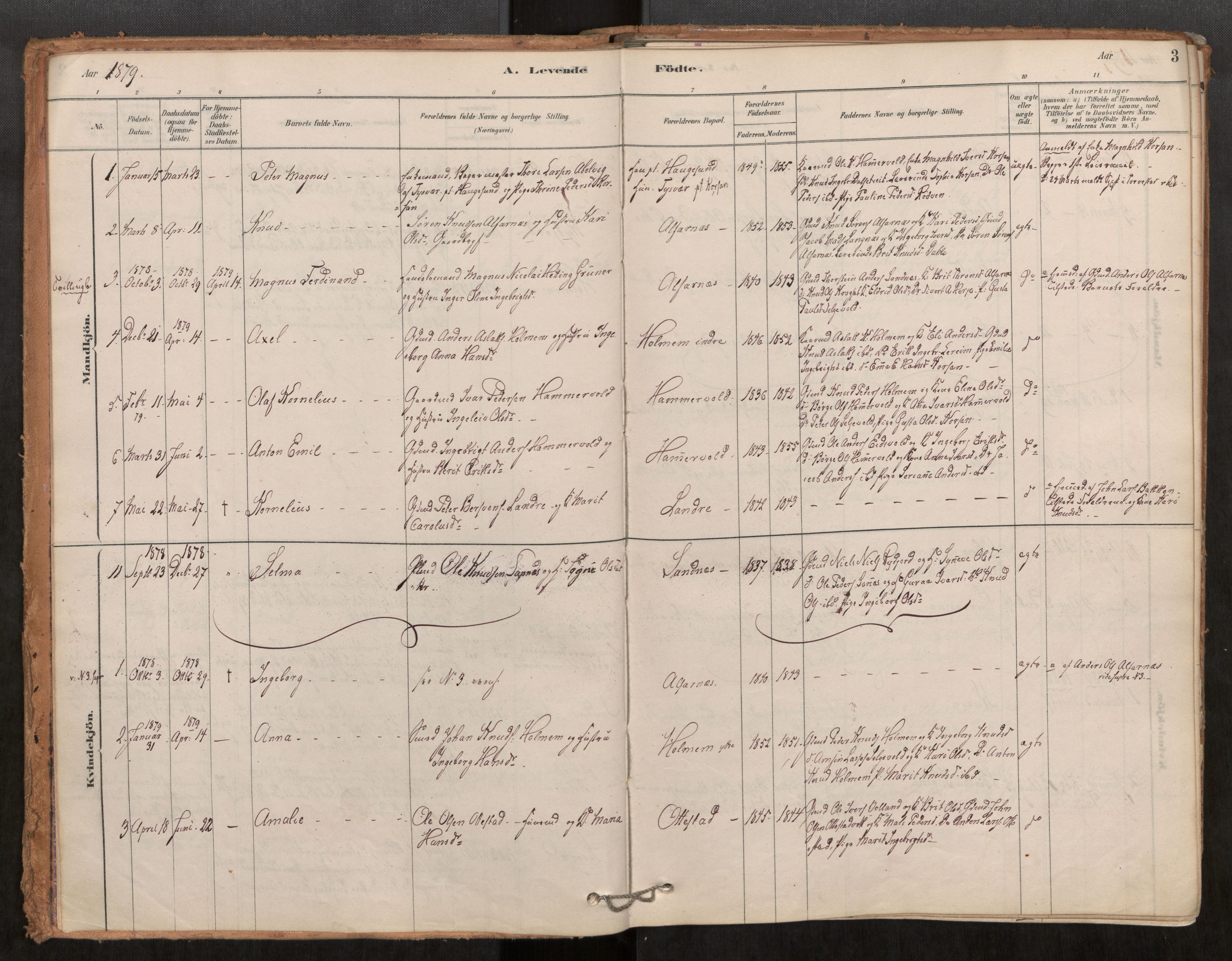 Ministerialprotokoller, klokkerbøker og fødselsregistre - Møre og Romsdal, SAT/A-1454/548/L0615: Parish register (official) no. 548A02, 1878-1906, p. 3