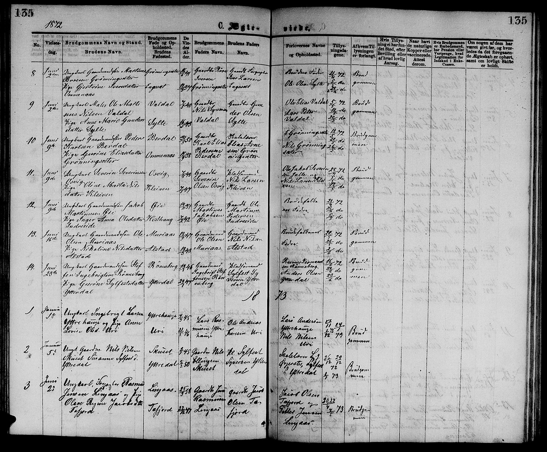 Ministerialprotokoller, klokkerbøker og fødselsregistre - Møre og Romsdal, SAT/A-1454/519/L0262: Parish register (copy) no. 519C03, 1866-1884, p. 135