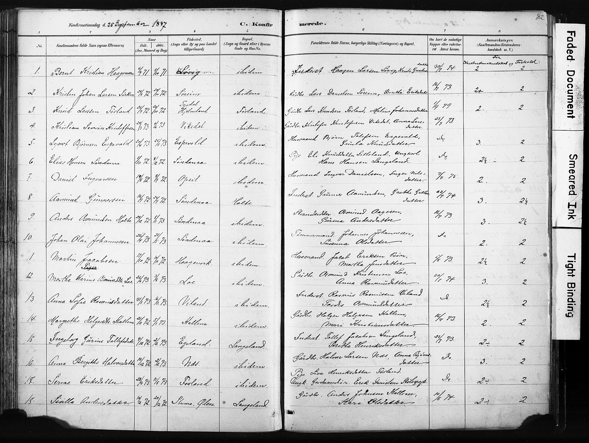 Vikedal sokneprestkontor, AV/SAST-A-101840/01/IV: Parish register (official) no. A 10, 1884-1907, p. 82