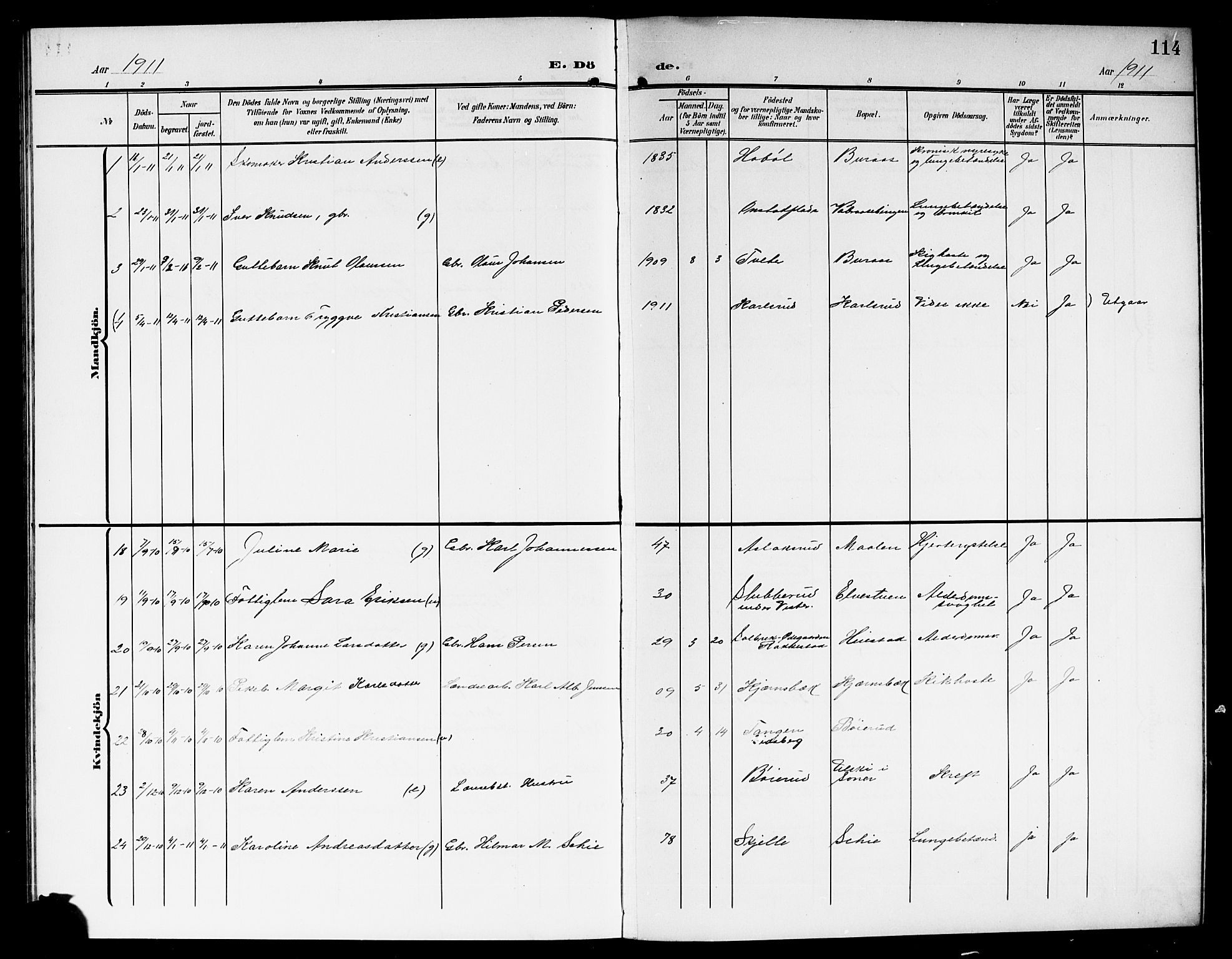 Skiptvet prestekontor Kirkebøker, SAO/A-20009/G/Ga/L0002: Parish register (copy) no. 2, 1905-1915, p. 114