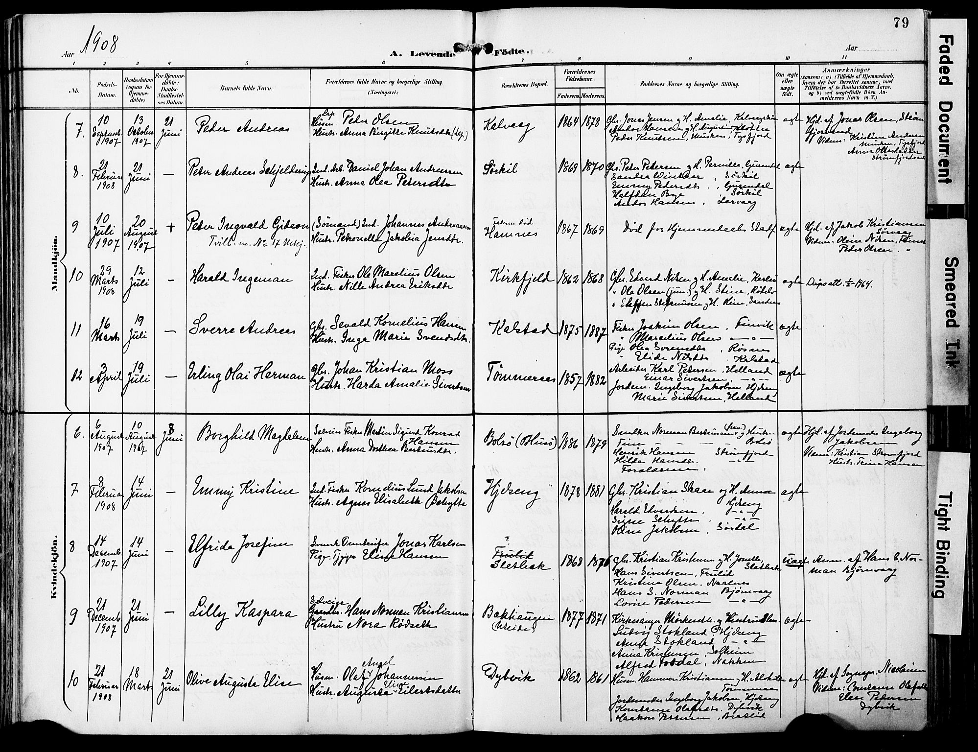 Ministerialprotokoller, klokkerbøker og fødselsregistre - Nordland, SAT/A-1459/859/L0848: Parish register (official) no. 859A08, 1900-1912, p. 79