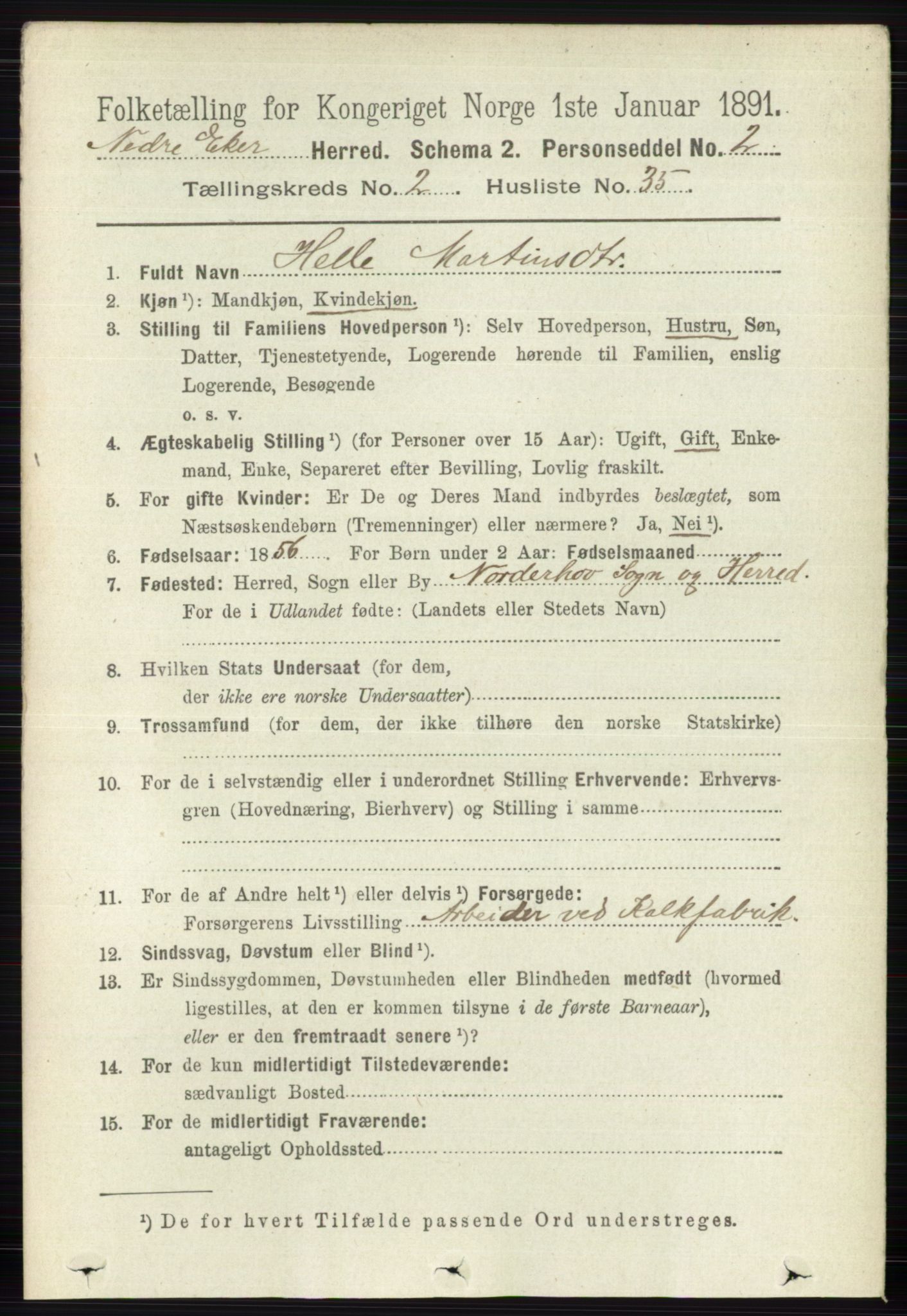 RA, 1891 census for 0625 Nedre Eiker, 1891, p. 733