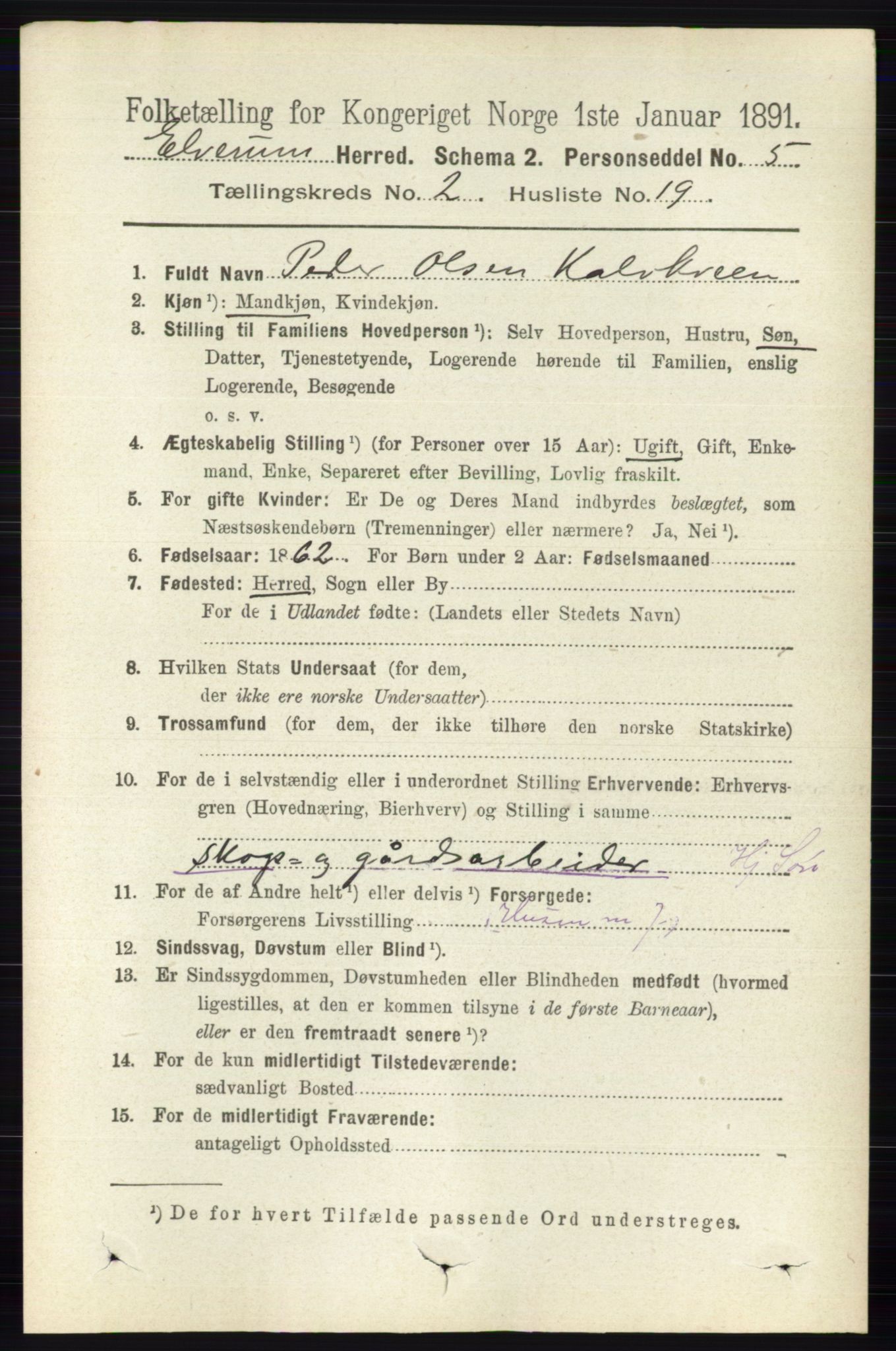 RA, 1891 census for 0427 Elverum, 1891, p. 1347