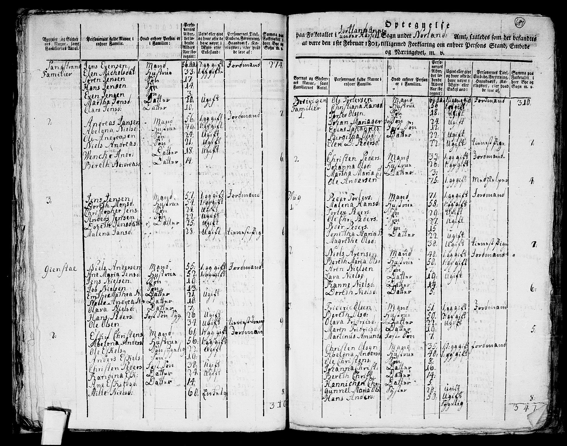 RA, 1801 census for 1866P Hadsel, 1801, p. 696b-697a