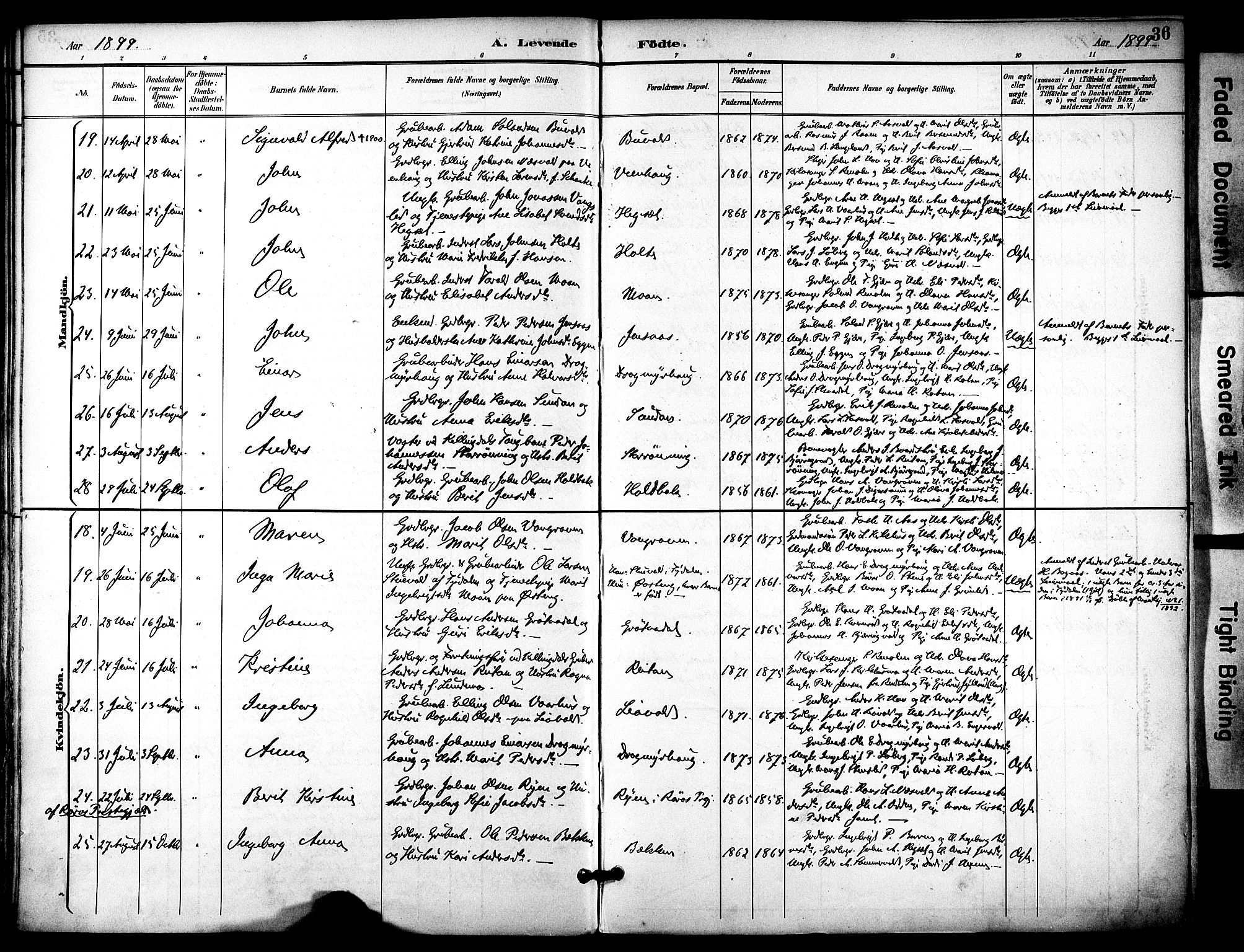 Ministerialprotokoller, klokkerbøker og fødselsregistre - Sør-Trøndelag, AV/SAT-A-1456/686/L0984: Parish register (official) no. 686A02, 1891-1906, p. 36