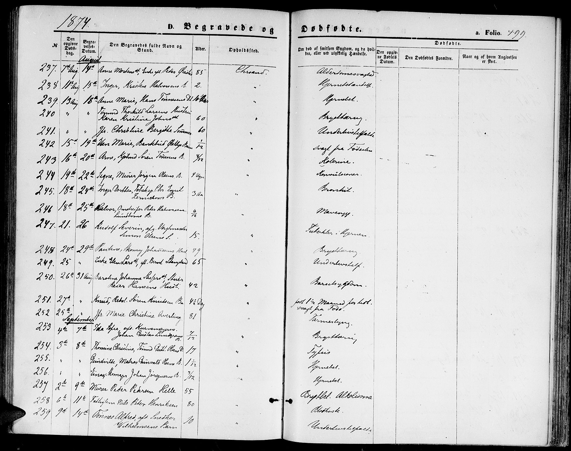 Kristiansand domprosti, AV/SAK-1112-0006/F/Fb/L0013: Parish register (copy) no. B 13, 1871-1880, p. 499