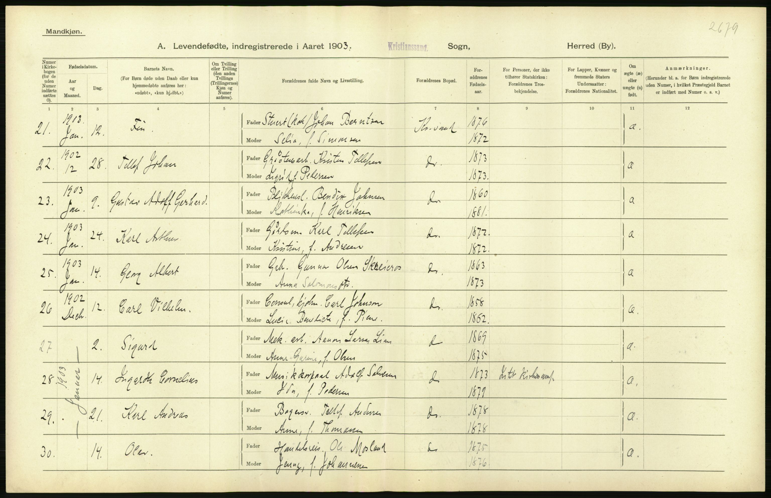 Statistisk sentralbyrå, Sosiodemografiske emner, Befolkning, AV/RA-S-2228/D/Df/Dfa/Dfaa/L0011: Lister og Mandal amt: Fødte, gifte, døde, 1903, p. 268