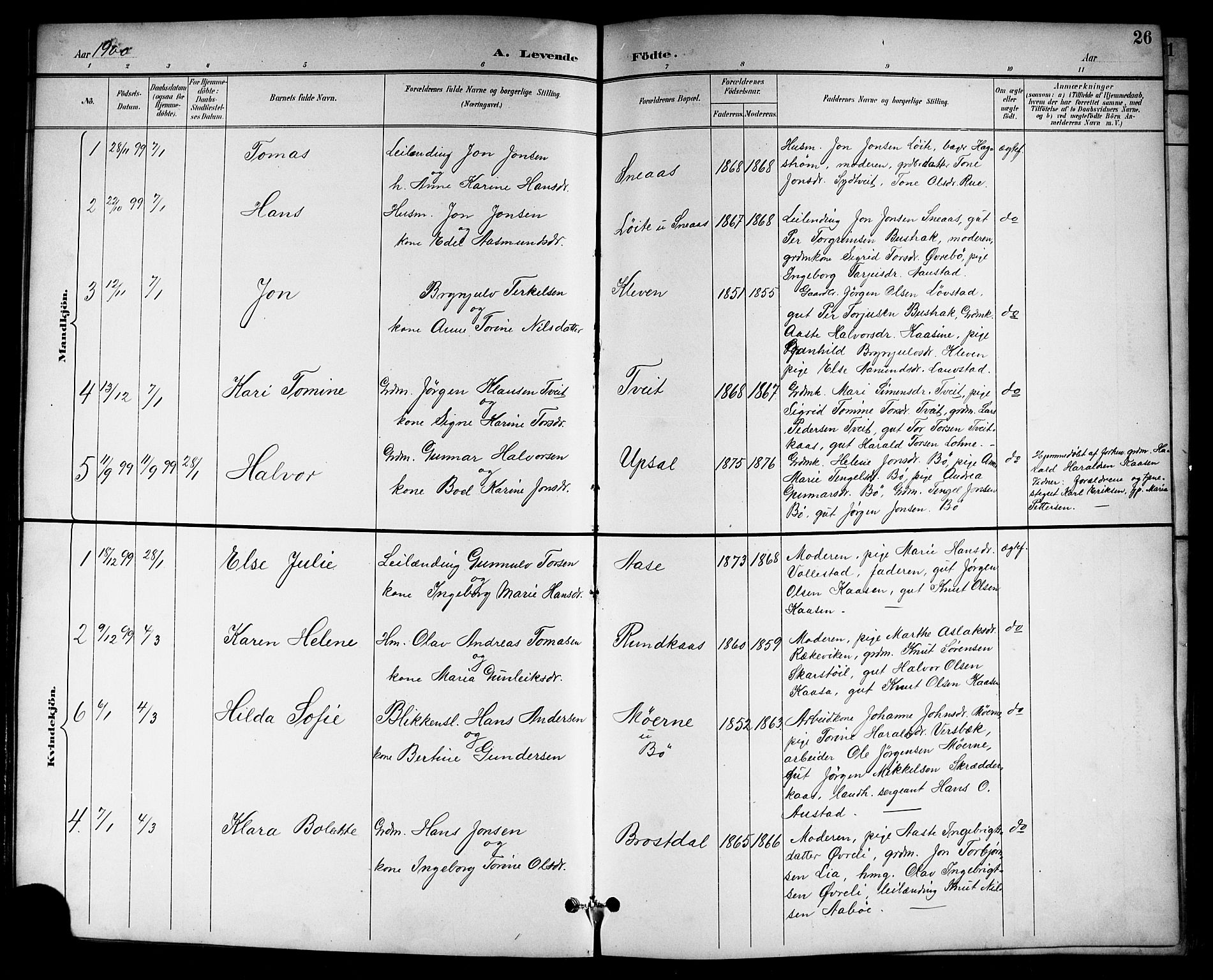 Drangedal kirkebøker, SAKO/A-258/G/Gb/L0002: Parish register (copy) no. II 2, 1895-1918, p. 26
