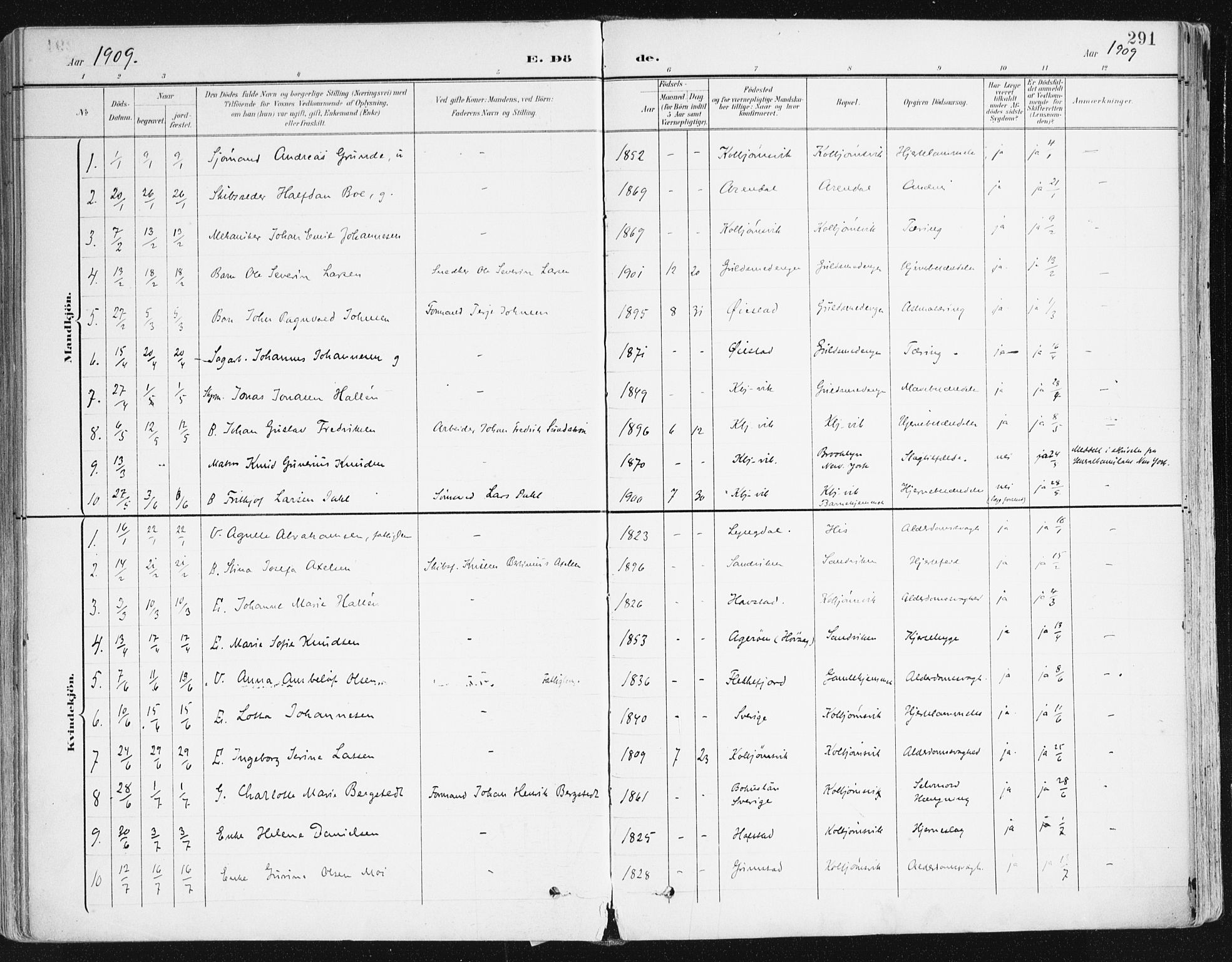 Hisøy sokneprestkontor, SAK/1111-0020/F/Fa/L0004: Parish register (official) no. A 4, 1895-1917, p. 291
