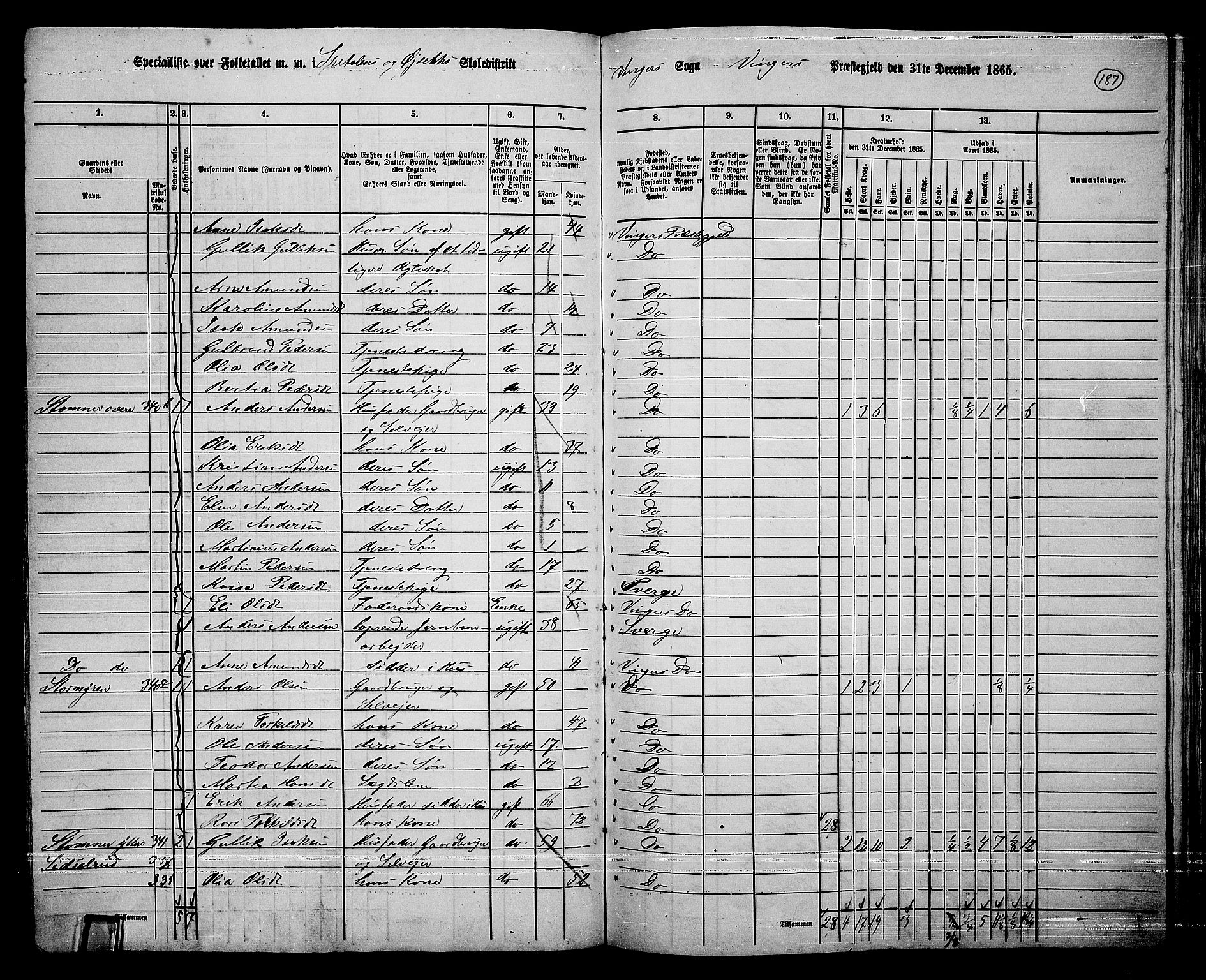 RA, 1865 census for Vinger/Vinger og Austmarka, 1865, p. 172