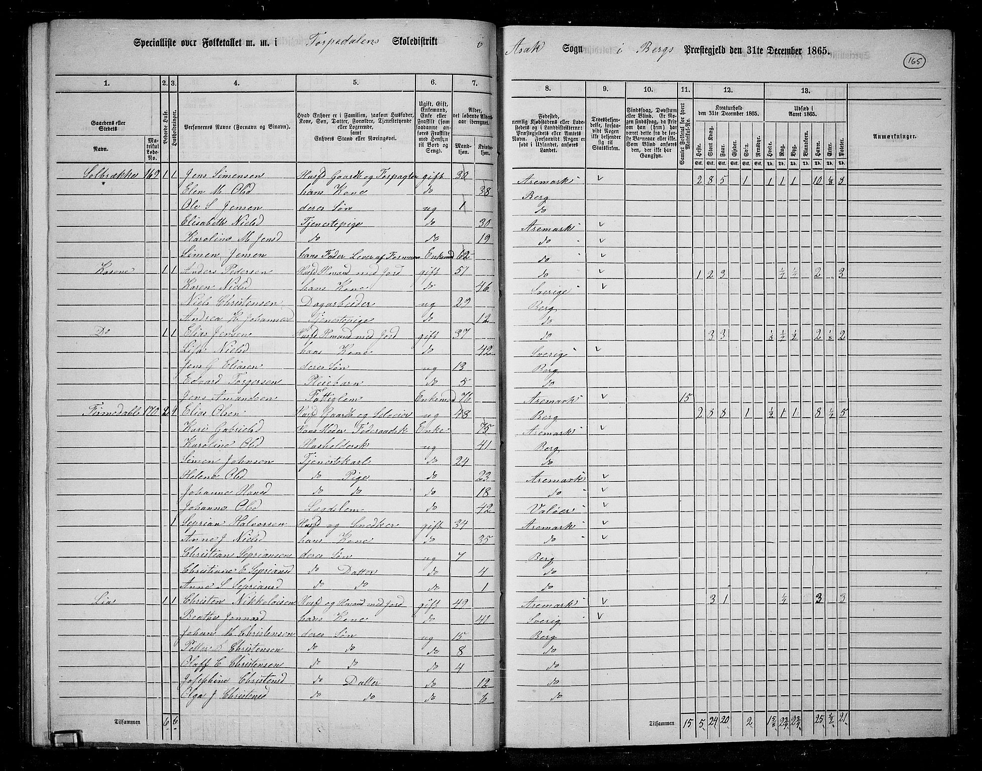 RA, 1865 census for Berg, 1865, p. 143