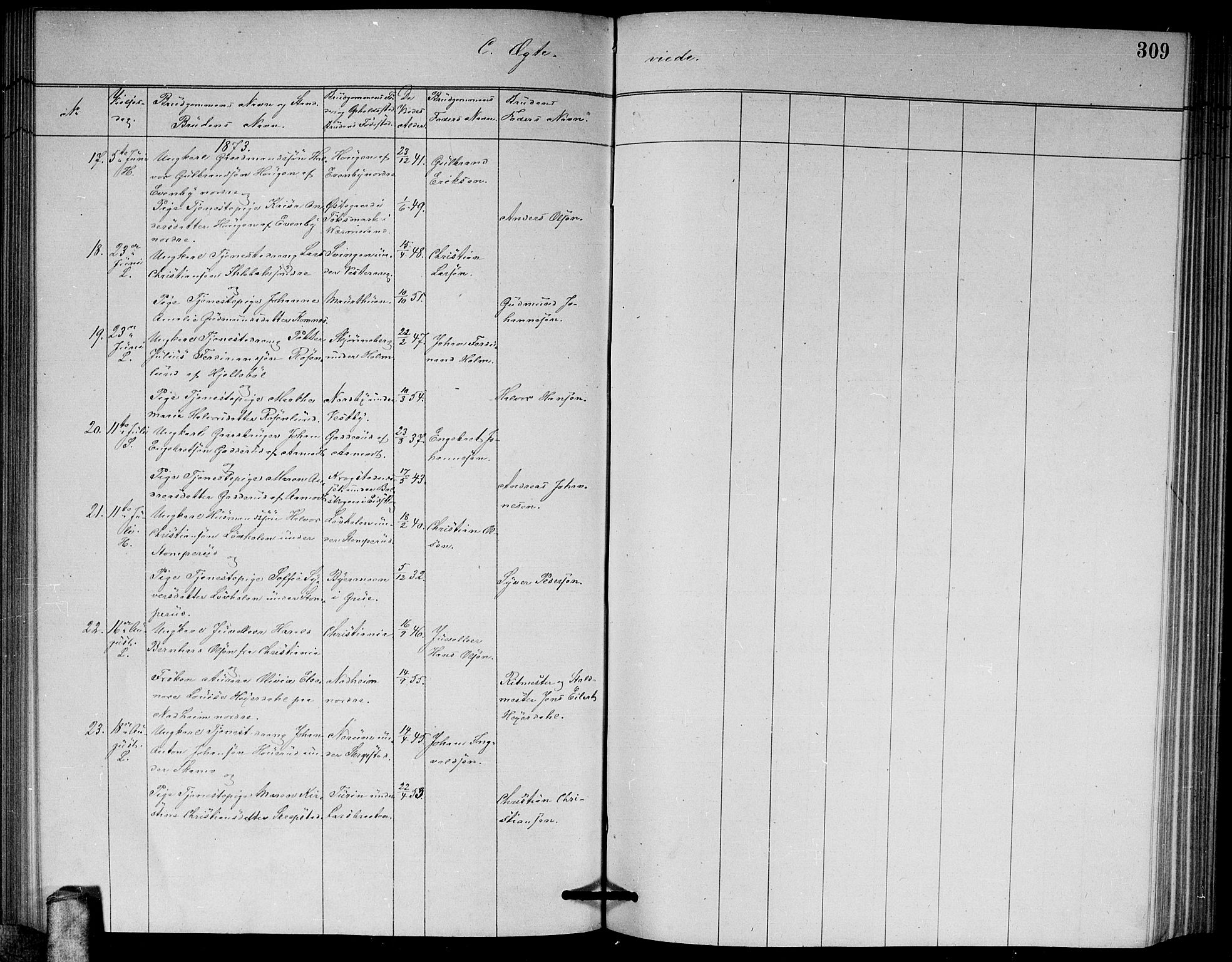 Høland prestekontor Kirkebøker, AV/SAO-A-10346a/G/Ga/L0006: Parish register (copy) no. I 6, 1869-1879, p. 309