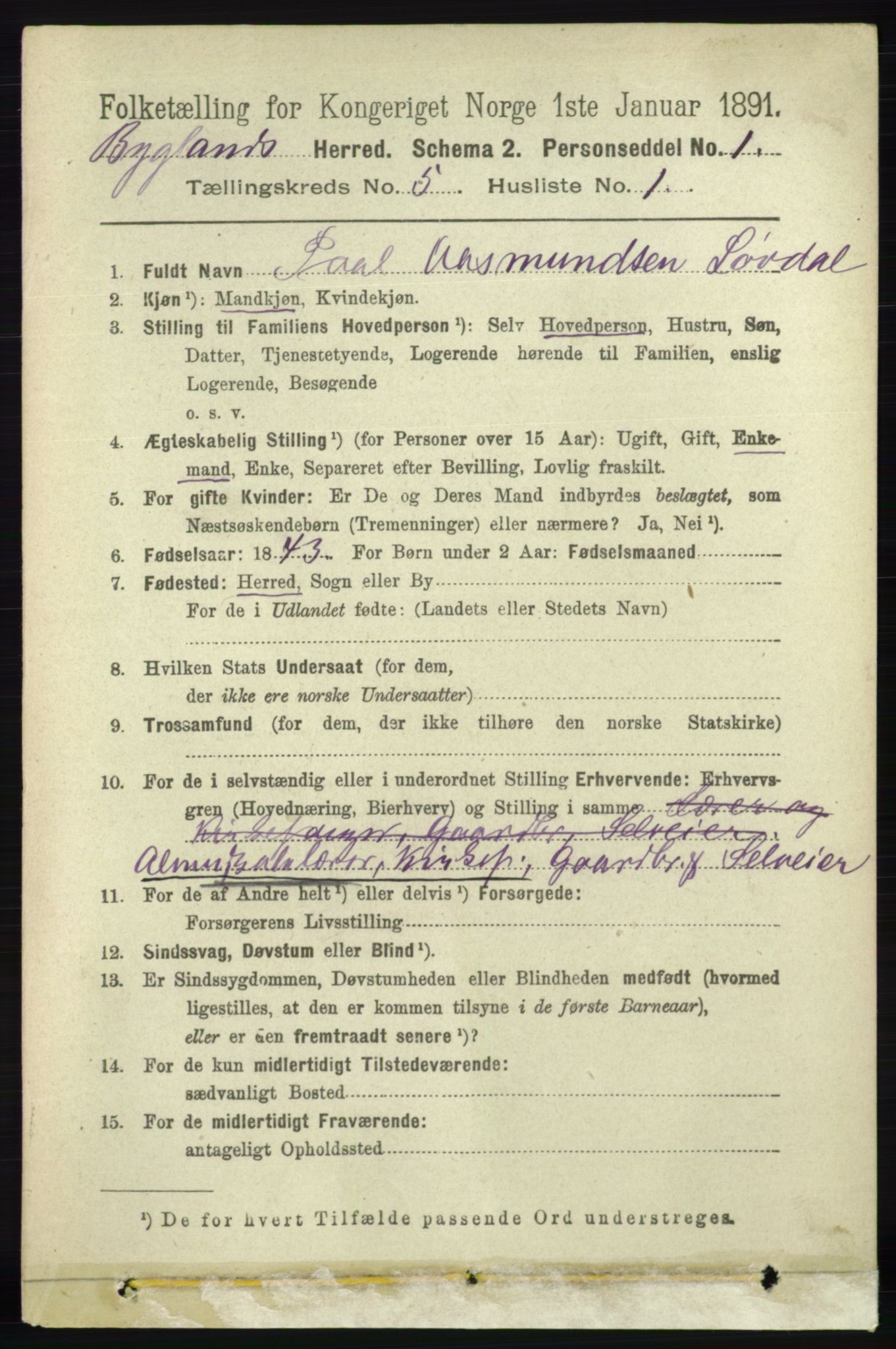 RA, 1891 census for 0938 Bygland, 1891, p. 1050