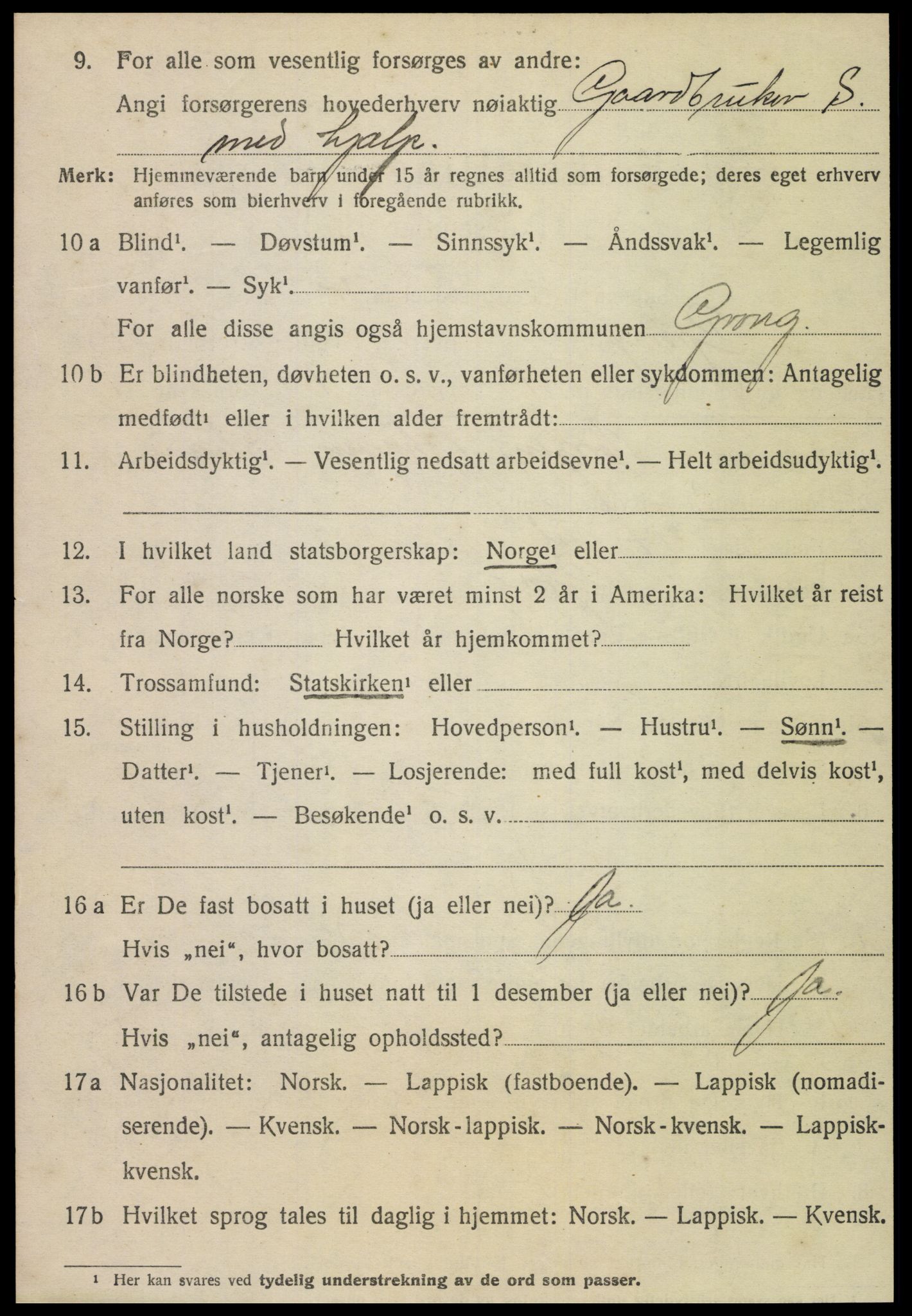 SAT, 1920 census for Grong, 1920, p. 1038