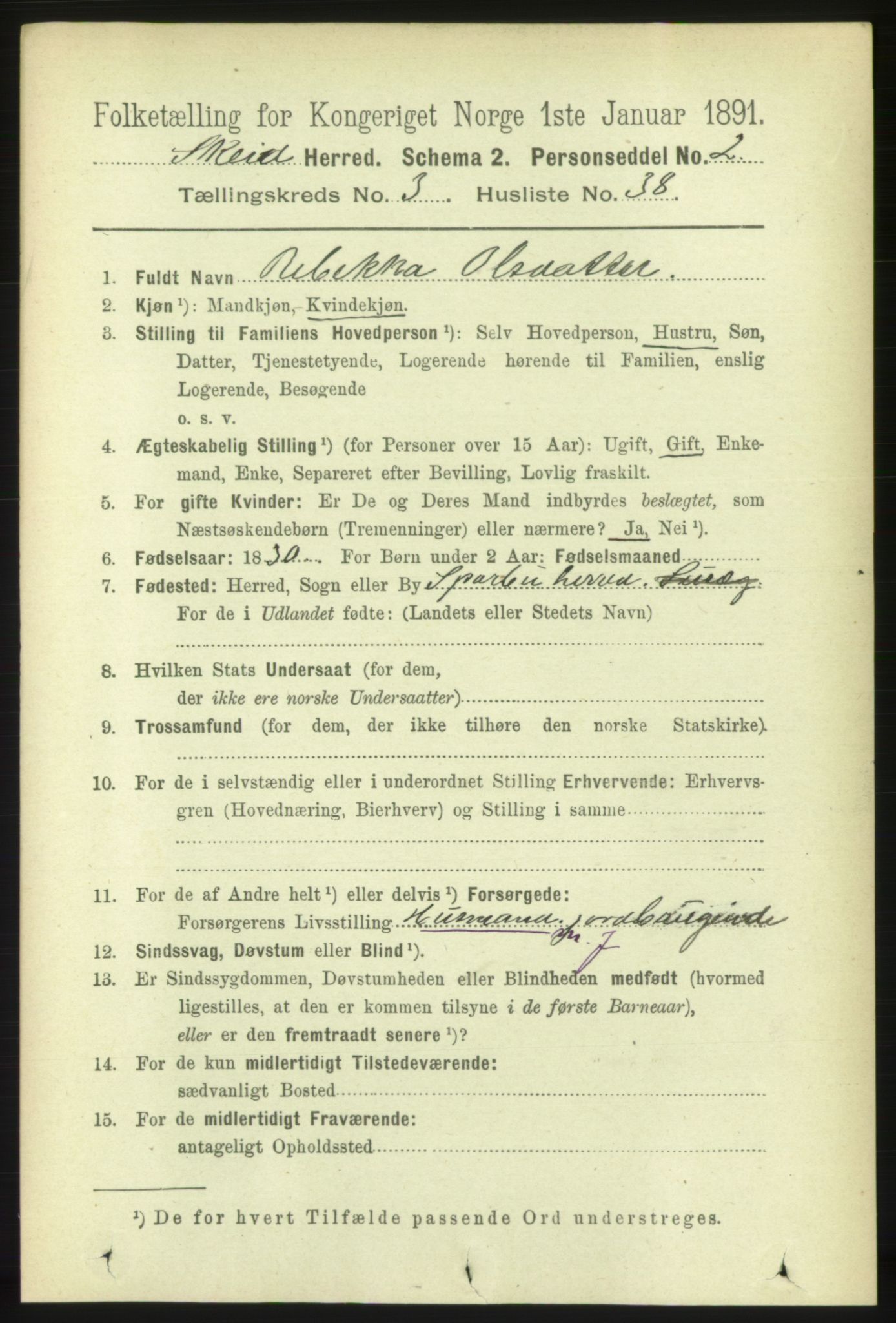 RA, 1891 census for 1732 Skei, 1891, p. 1294