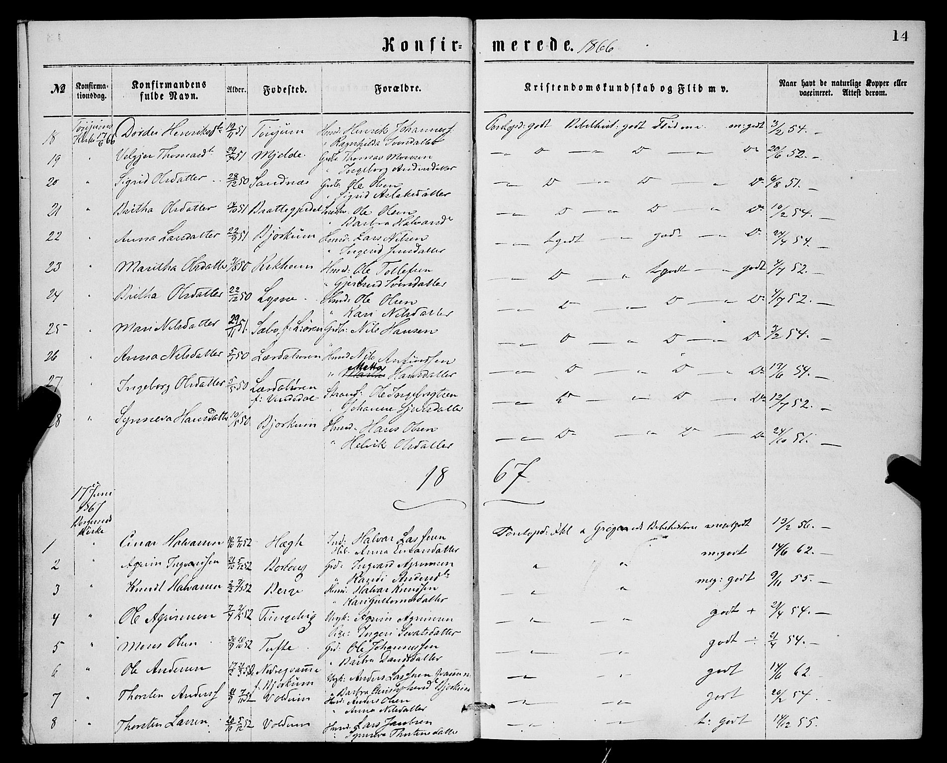 Lærdal sokneprestembete, SAB/A-81201: Parish register (official) no.  A 14, 1865-1877, p. 14