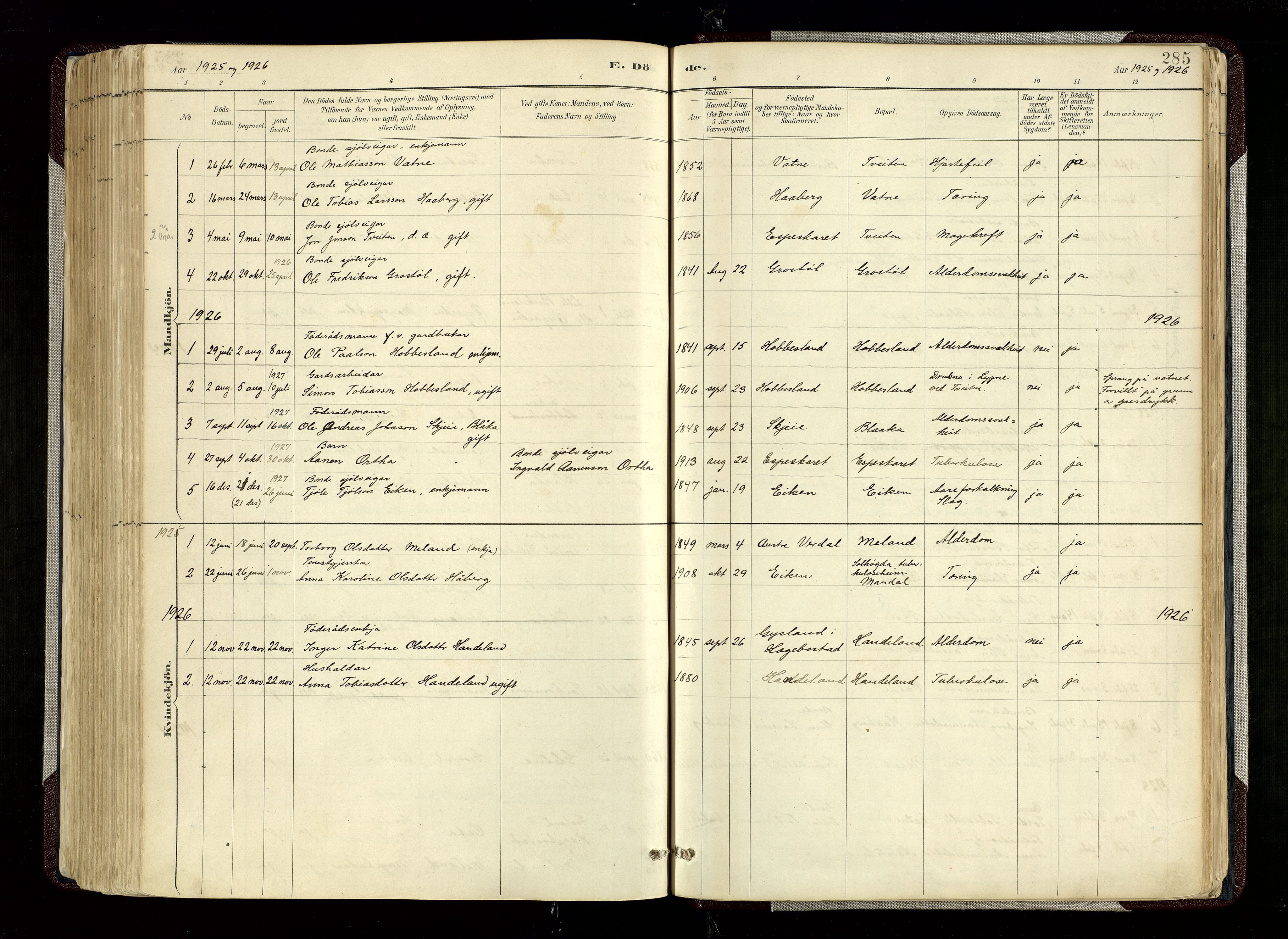 Hægebostad sokneprestkontor, SAK/1111-0024/F/Fa/Fab/L0004: Parish register (official) no. A 4, 1887-1929, p. 285