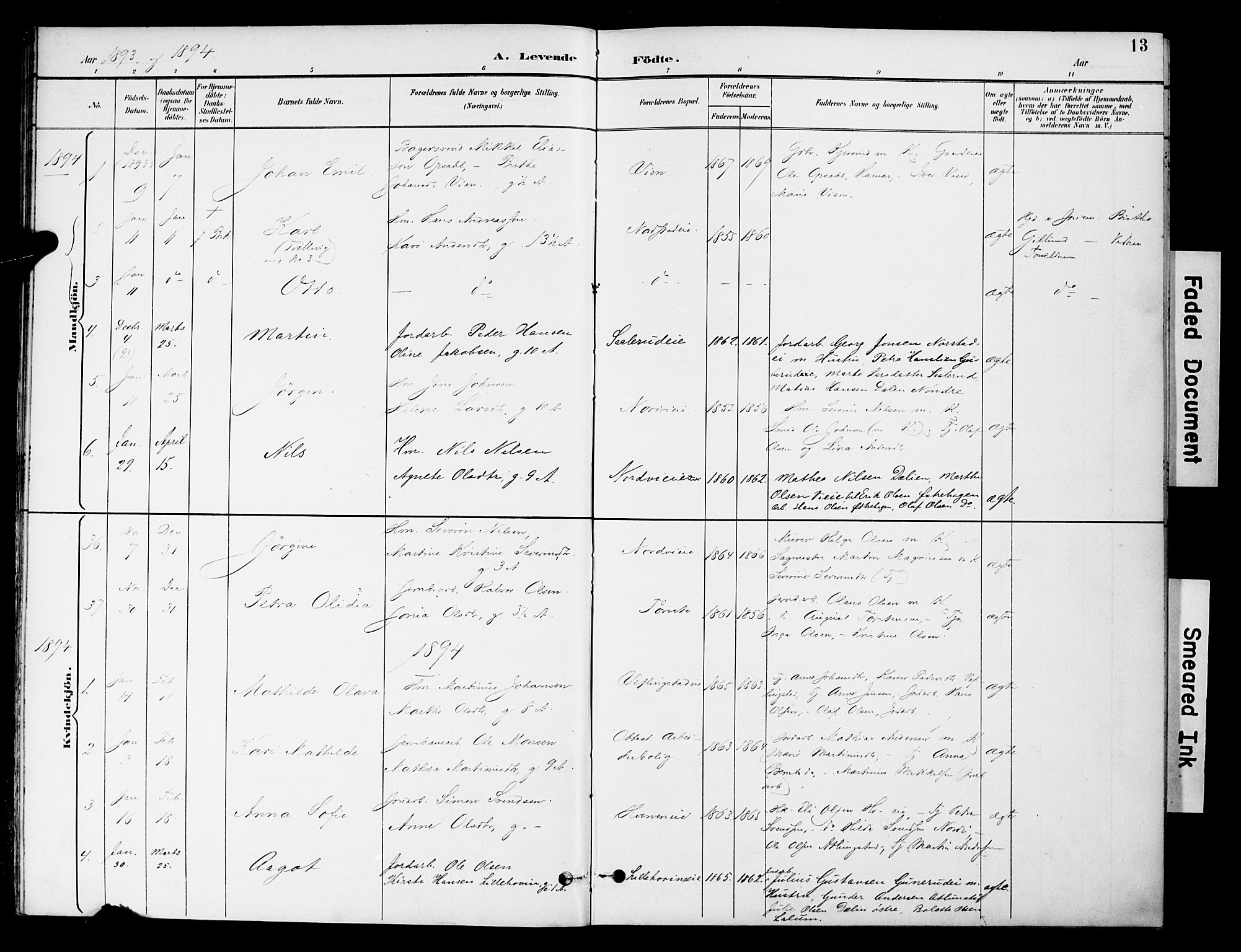 Stange prestekontor, AV/SAH-PREST-002/K/L0021: Parish register (official) no. 21, 1891-1902, p. 13