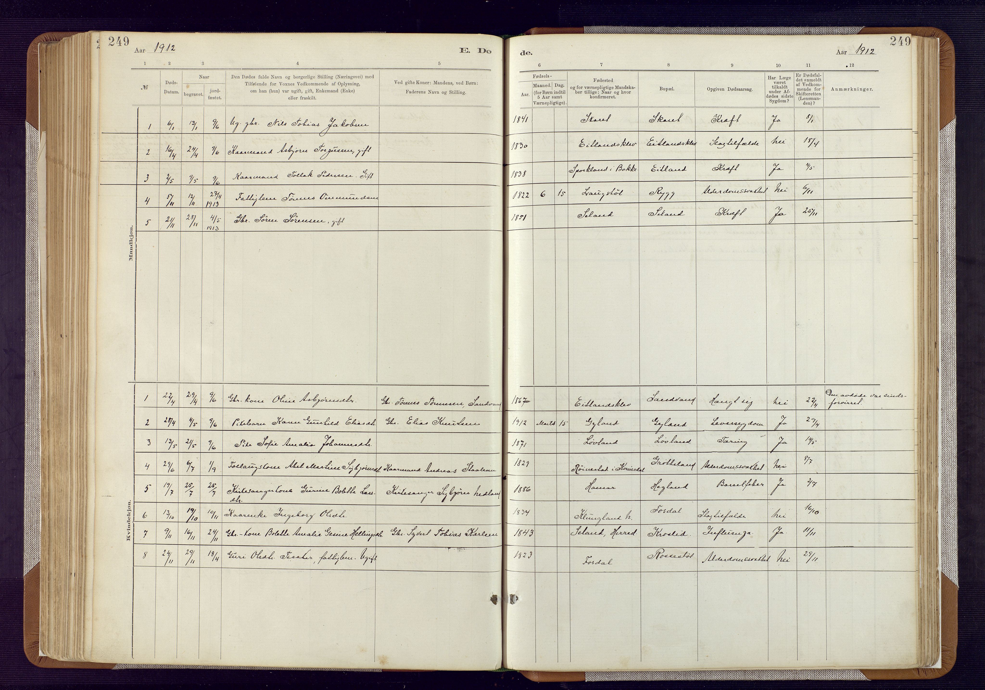 Bakke sokneprestkontor, SAK/1111-0002/F/Fa/Fab/L0003: Parish register (official) no. A 3, 1884-1921, p. 249