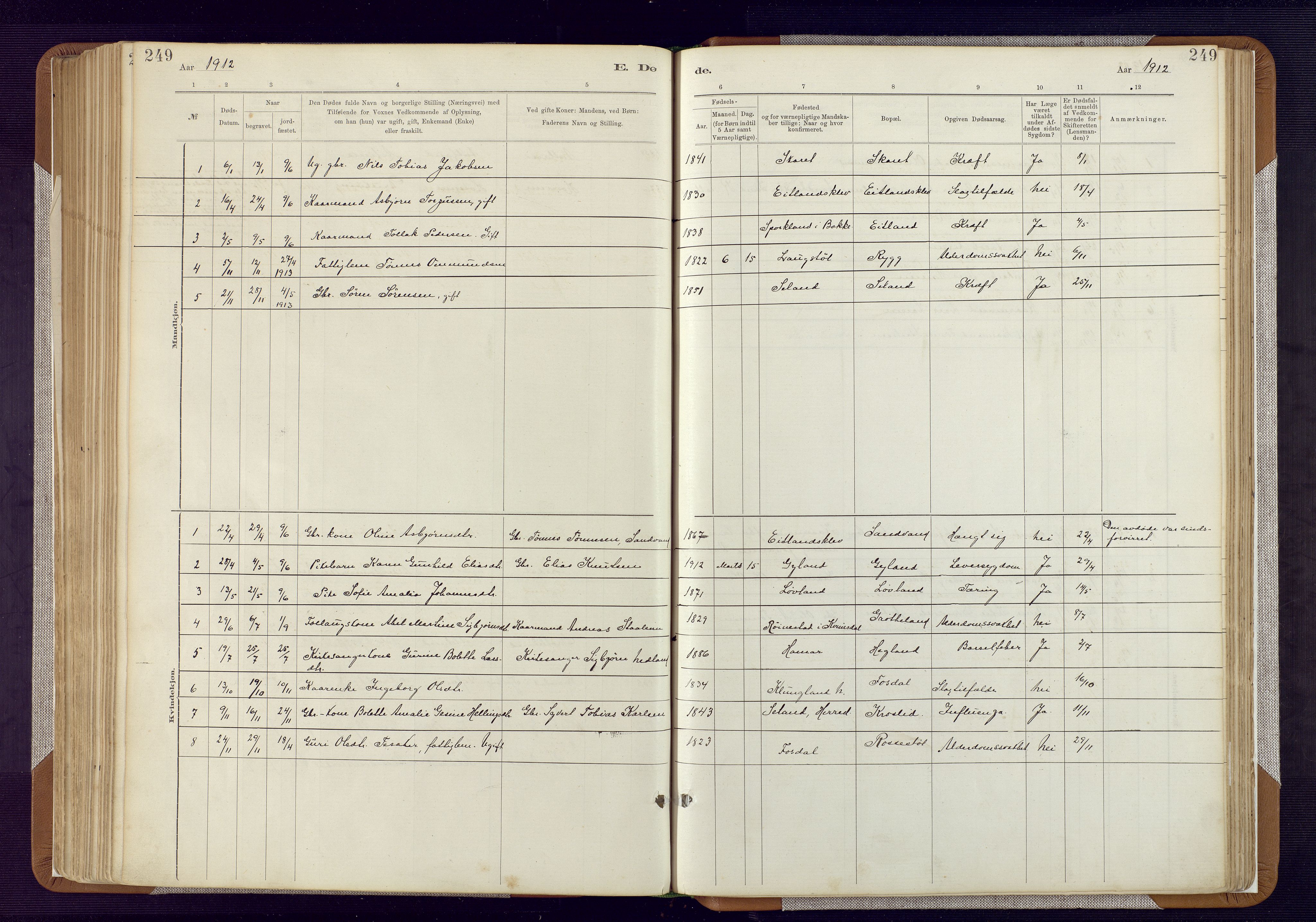 Bakke sokneprestkontor, AV/SAK-1111-0002/F/Fa/Fab/L0003: Parish register (official) no. A 3, 1884-1921, p. 249