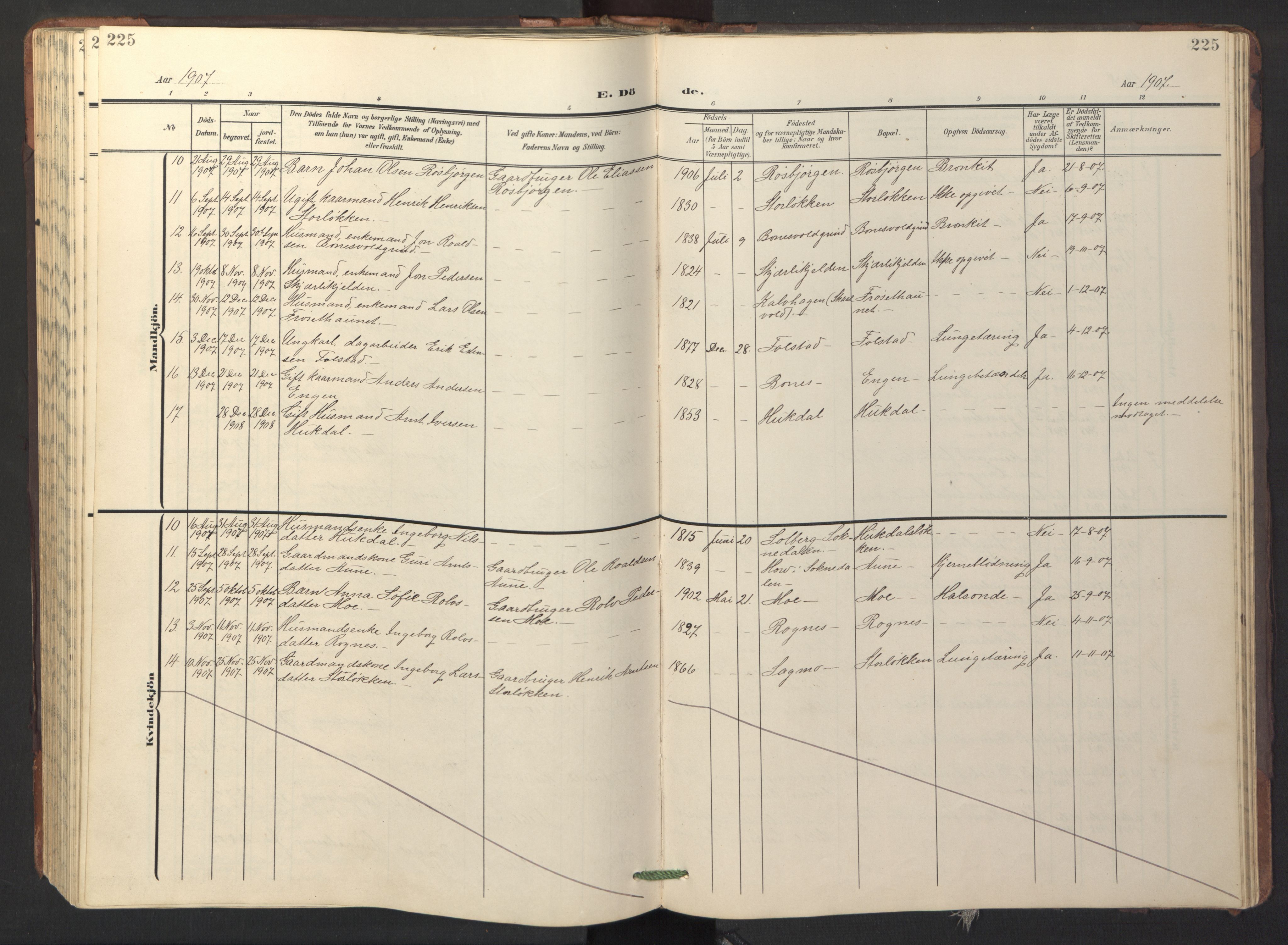 Ministerialprotokoller, klokkerbøker og fødselsregistre - Sør-Trøndelag, SAT/A-1456/687/L1019: Parish register (copy) no. 687C03, 1904-1931, p. 225