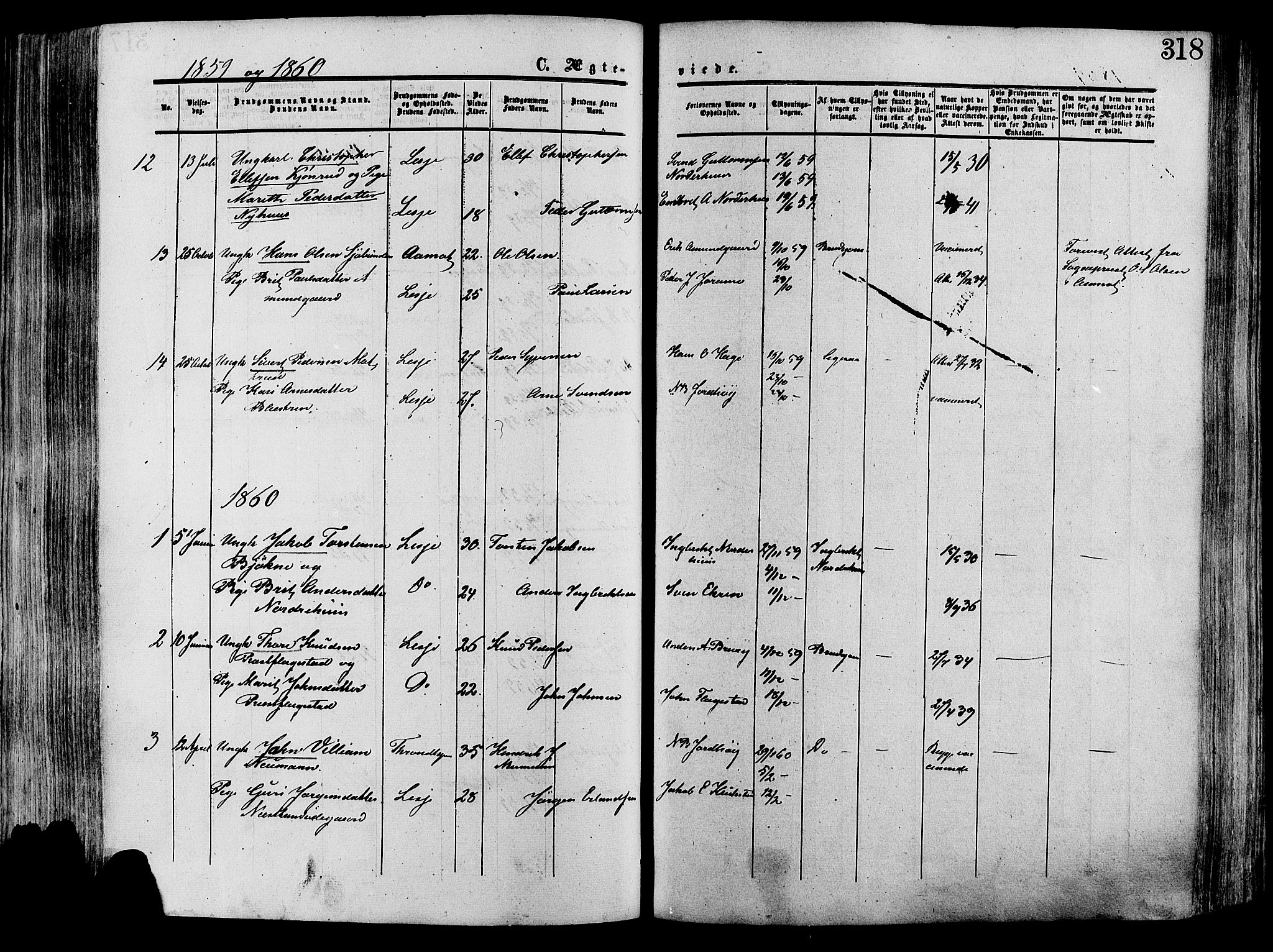 Lesja prestekontor, SAH/PREST-068/H/Ha/Haa/L0008: Parish register (official) no. 8, 1854-1880, p. 318