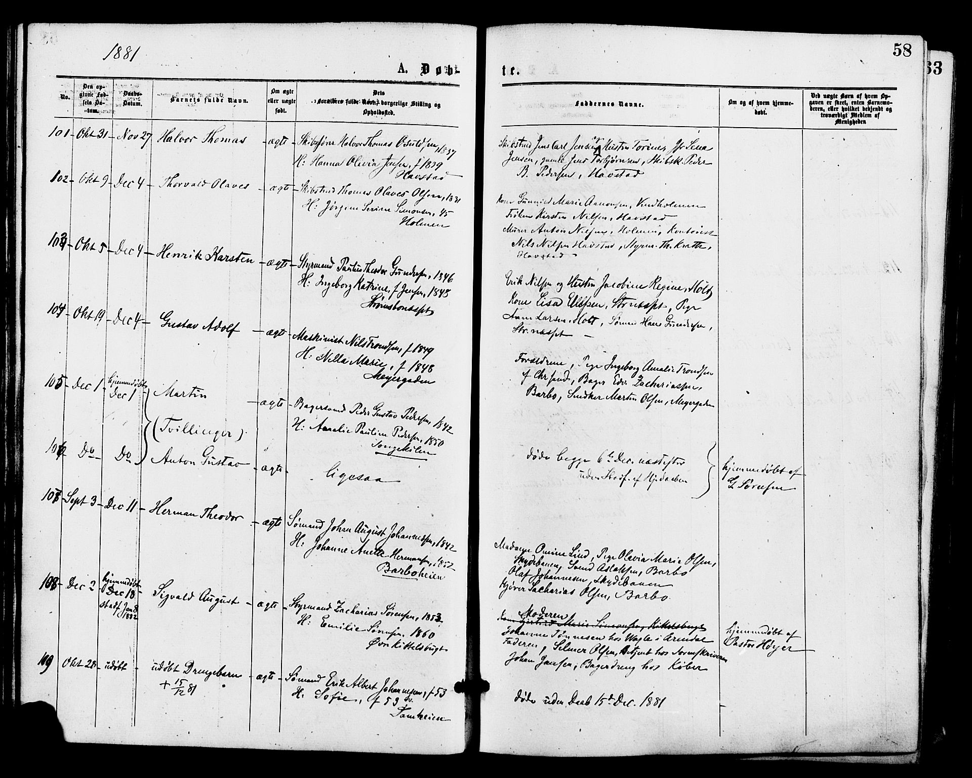 Barbu sokneprestkontor, AV/SAK-1111-0003/F/Fa/L0001: Parish register (official) no. A 1 /1, 1878-1883, p. 58