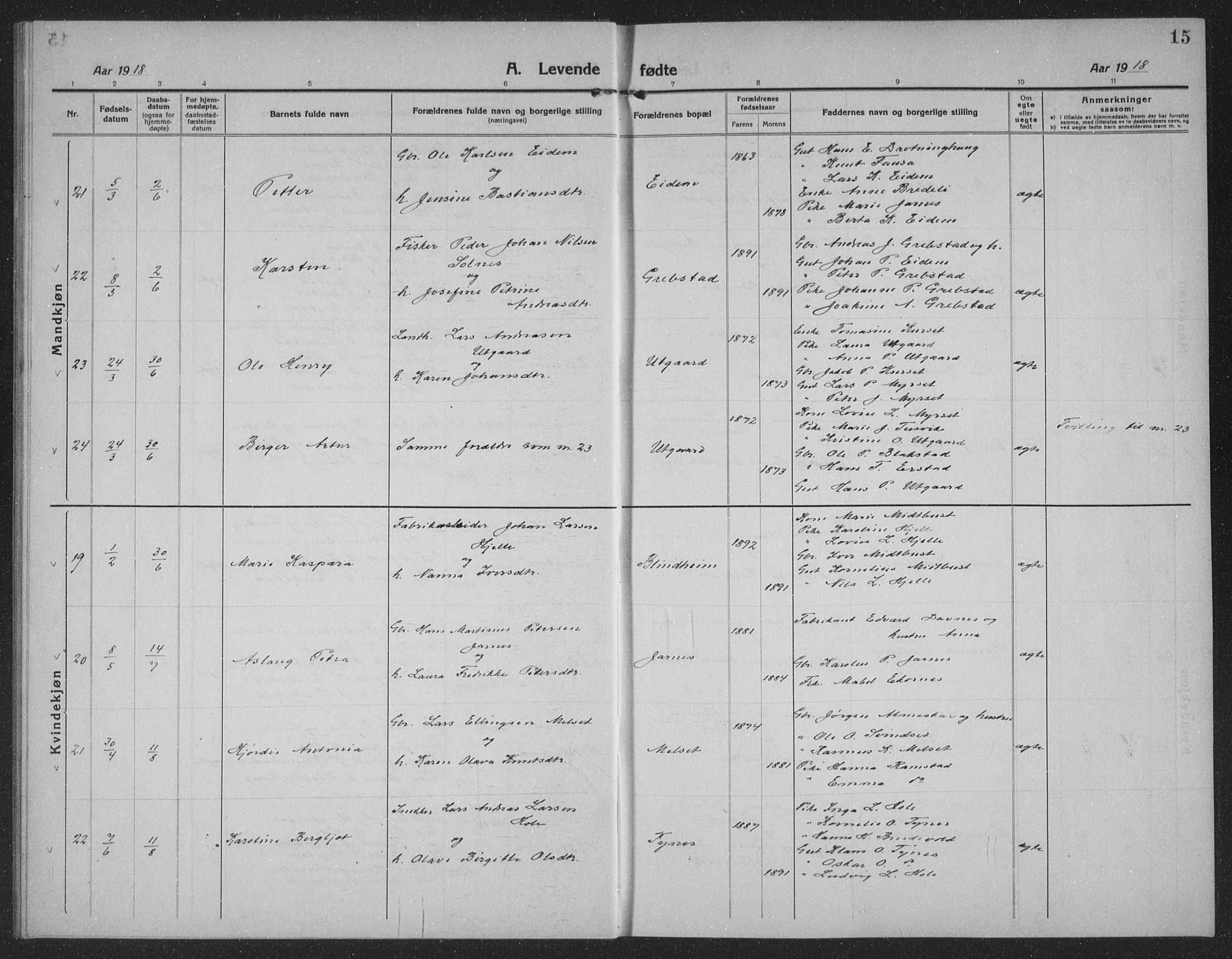 Ministerialprotokoller, klokkerbøker og fødselsregistre - Møre og Romsdal, AV/SAT-A-1454/523/L0342: Parish register (copy) no. 523C05, 1916-1937, p. 15