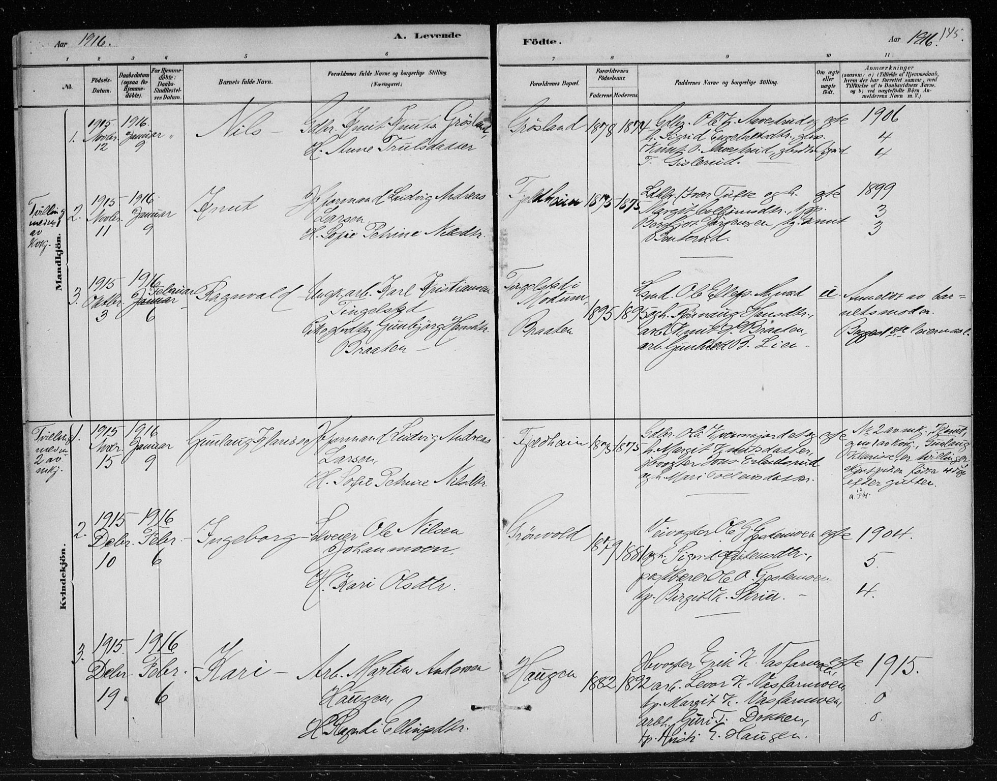 Nes kirkebøker, AV/SAKO-A-236/F/Fa/L0012: Parish register (official) no. 12, 1881-1917, p. 145