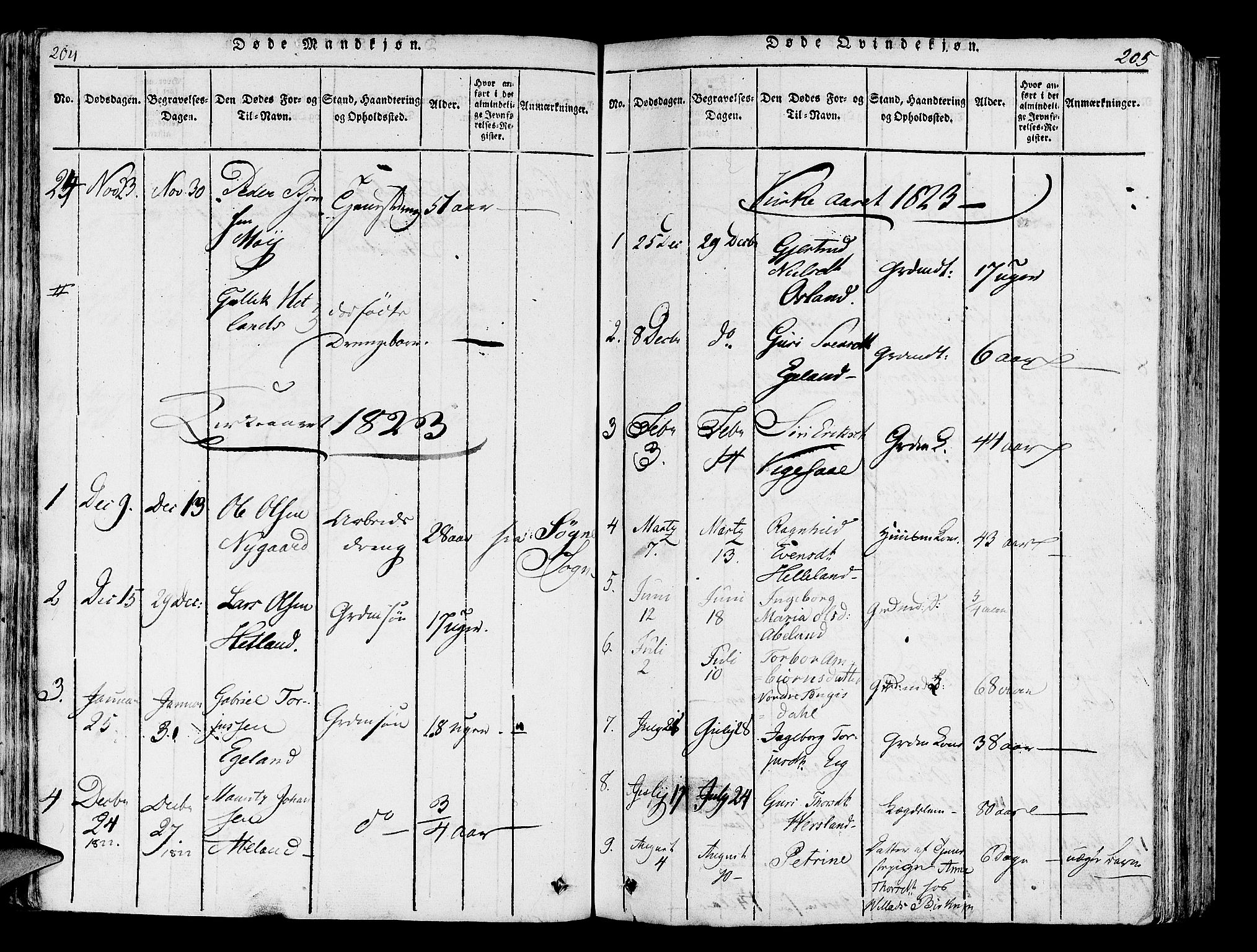 Helleland sokneprestkontor, SAST/A-101810: Parish register (official) no. A 5, 1815-1834, p. 204-205